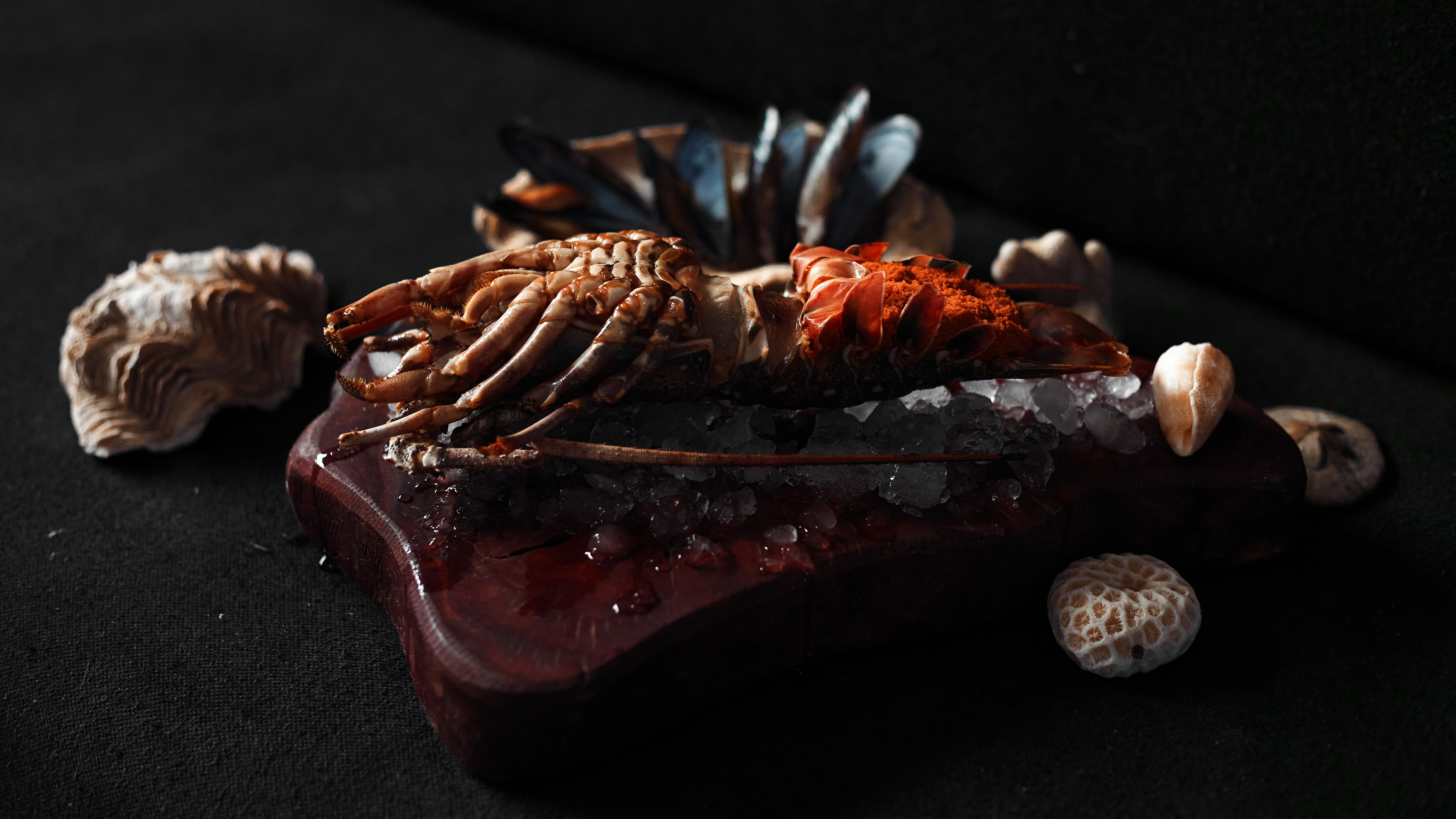 Photo by moamen_photography