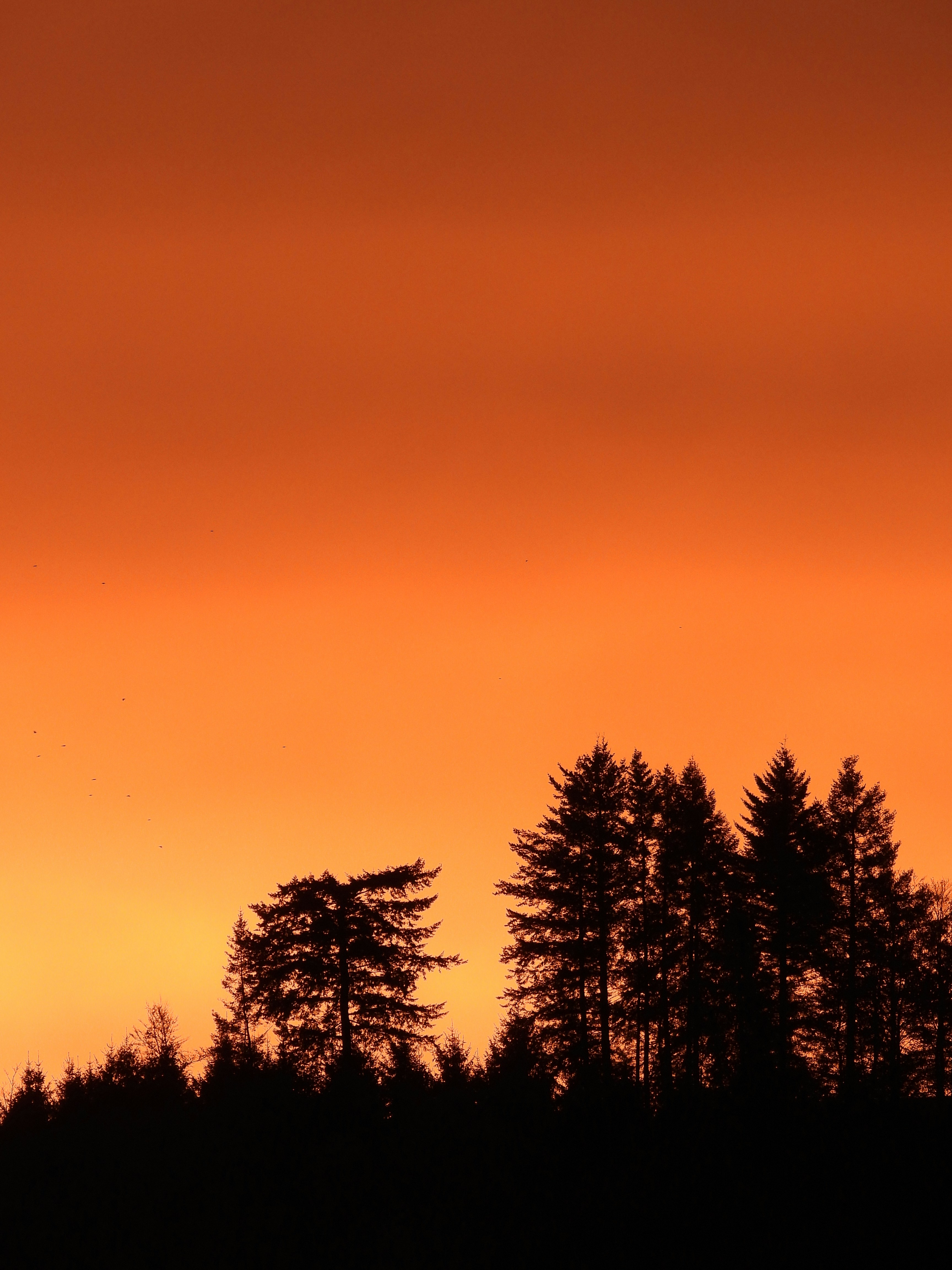 Photo by mortezakhalili