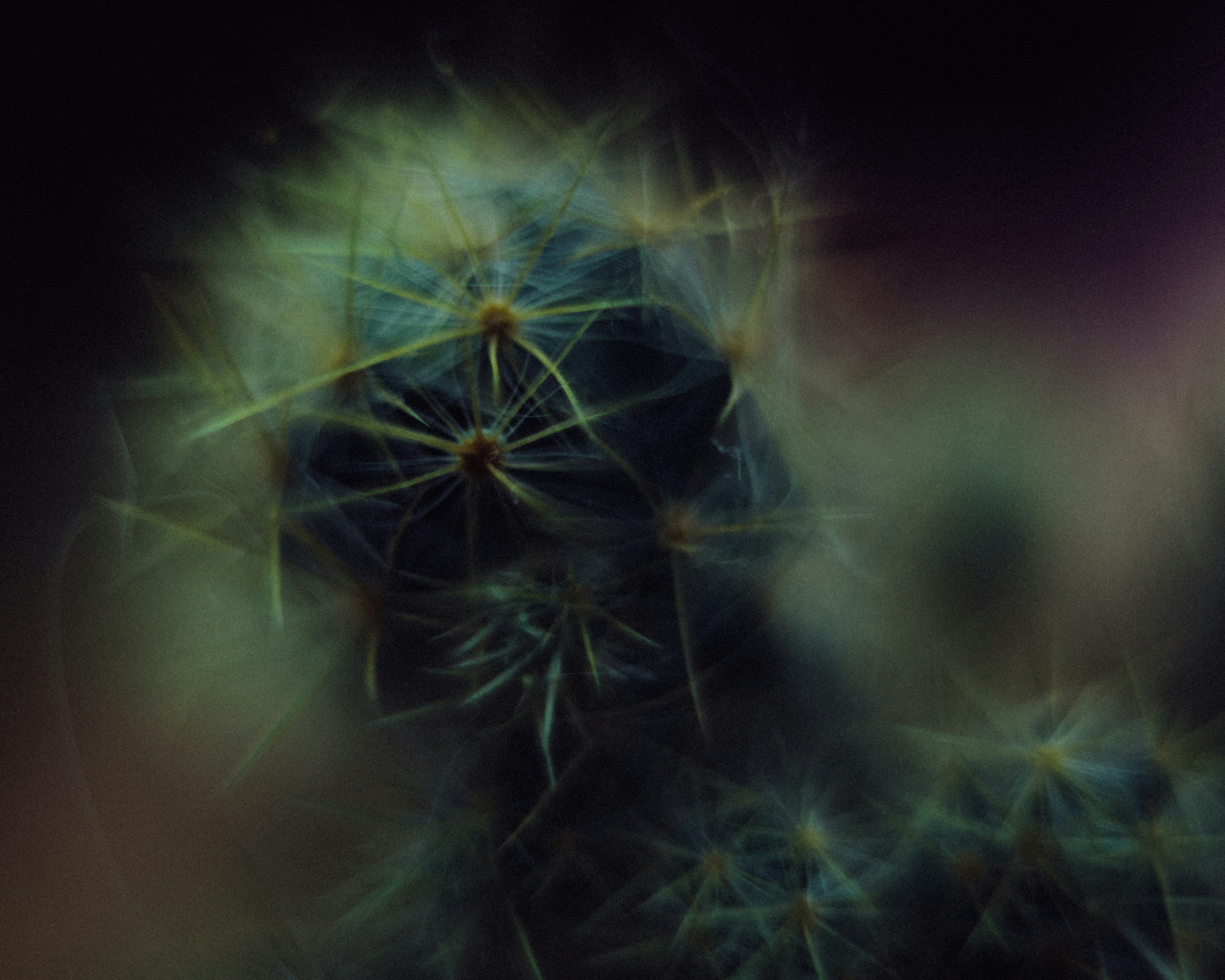 Photo by darkindigo88