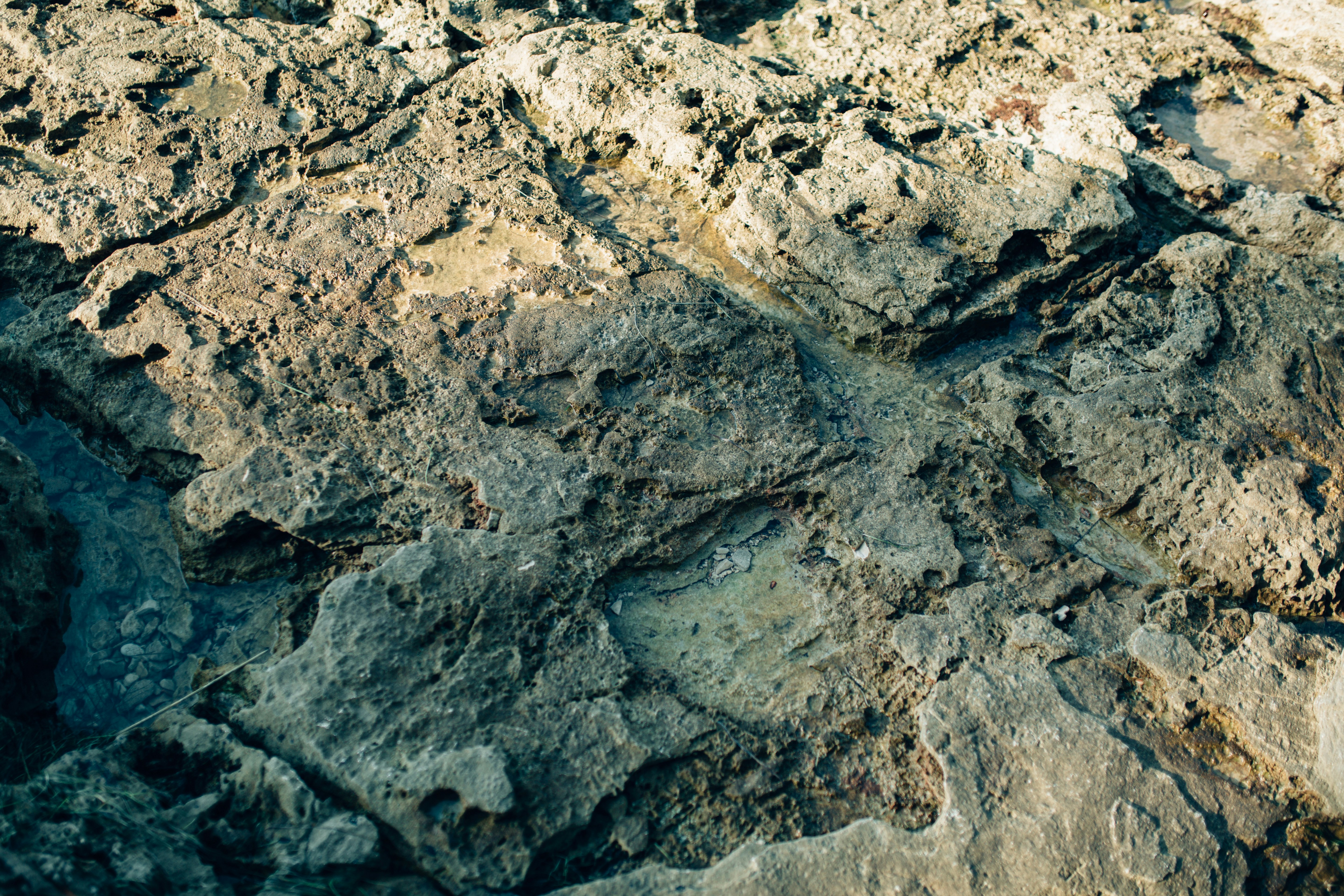 Photo by darkindigo88