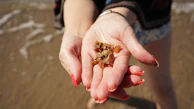 A close-up of hands mixing natural spa ingredients with desert rocks and sunset reflections.