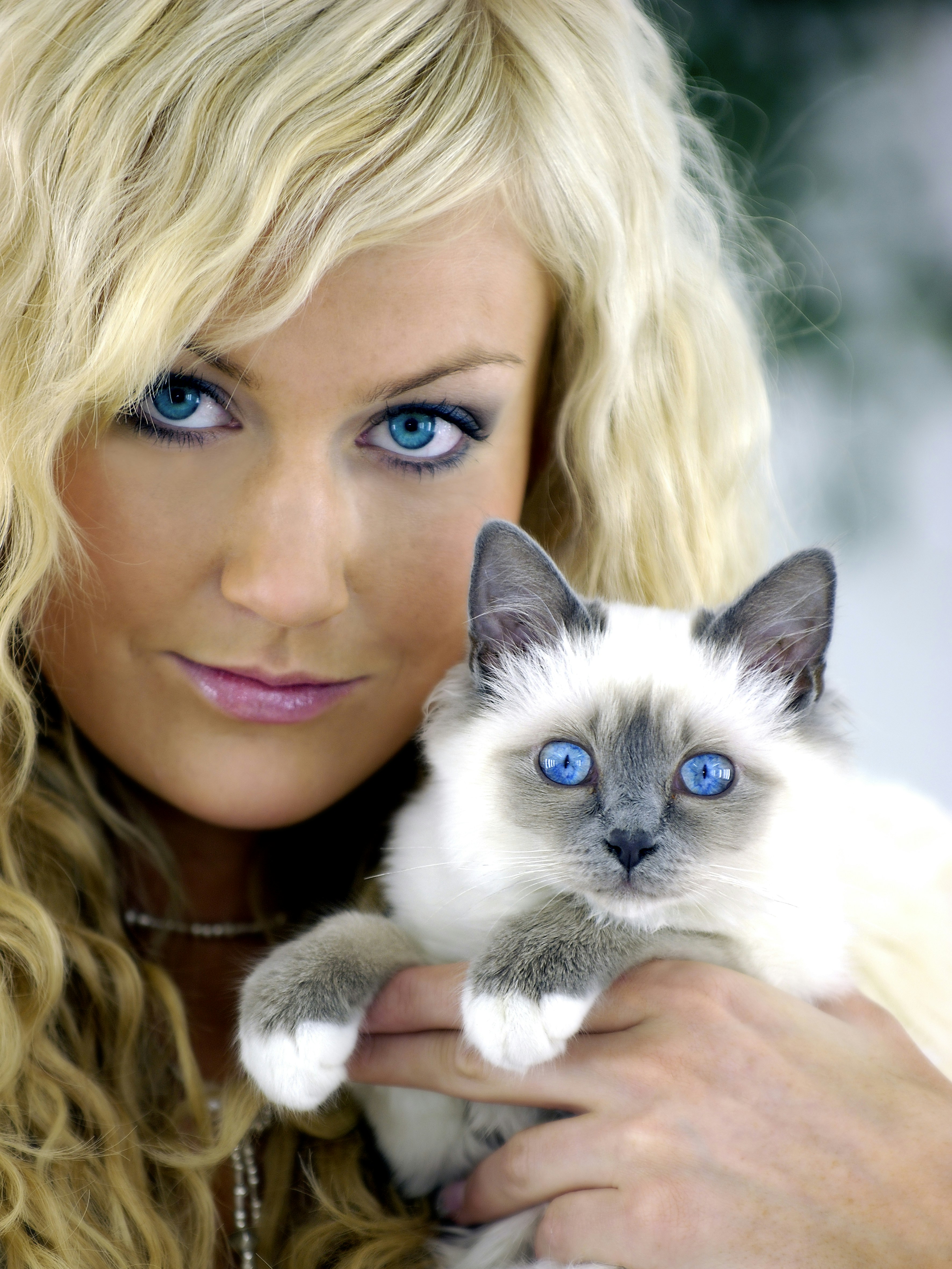 Siamese: The Chatty Best Friend (image credits: unsplash)