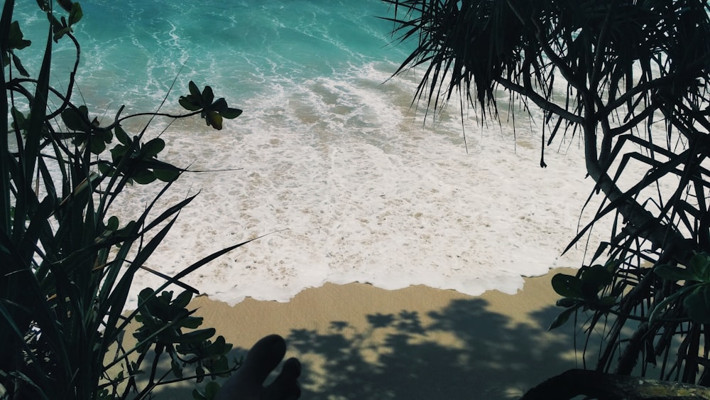 a view of the ocean from a high viewpoint