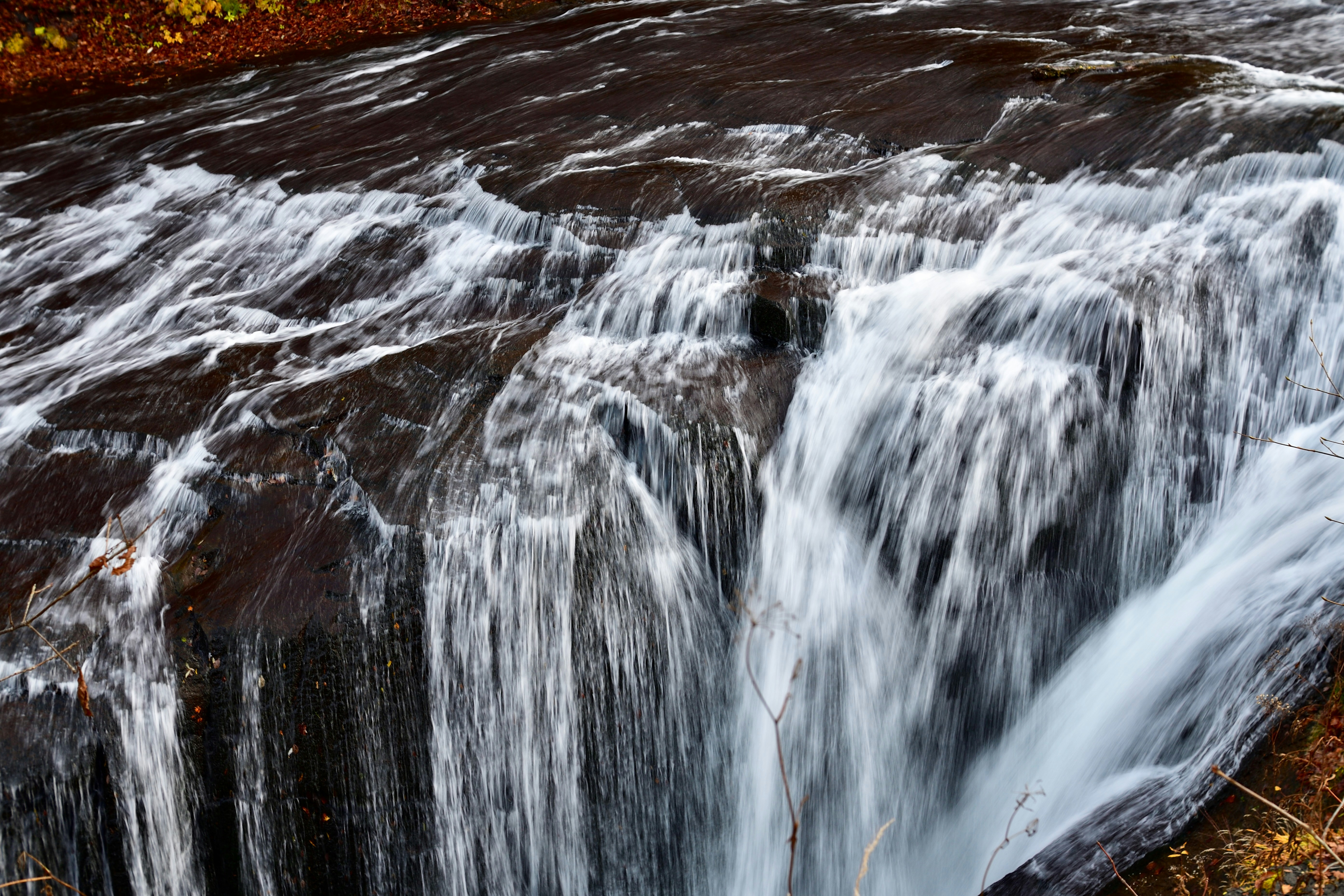 Photo by freezer_nico