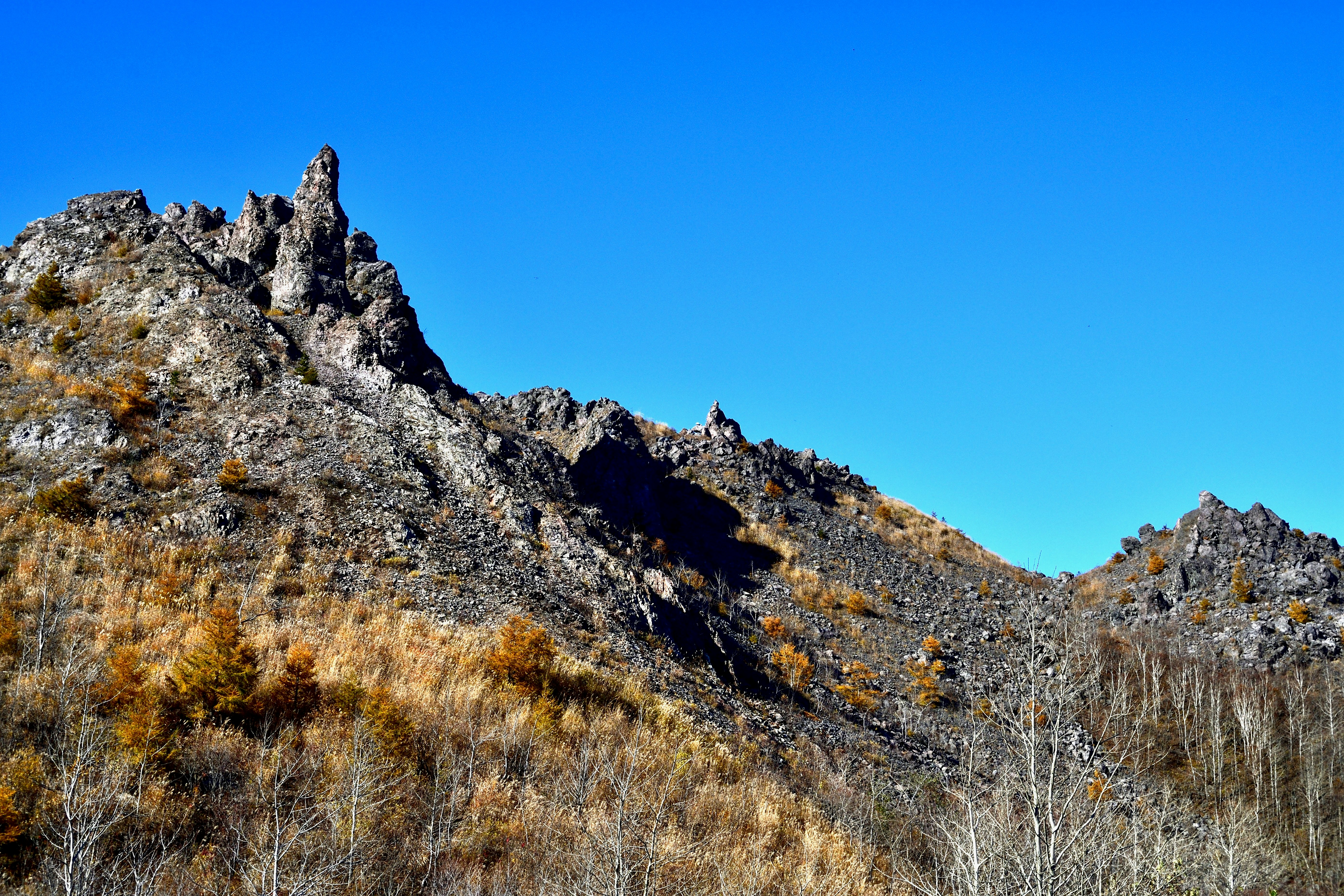 Photo by freezer_nico