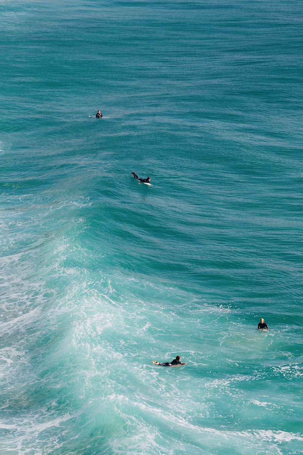 um grupo de pessoas nadando no oceano