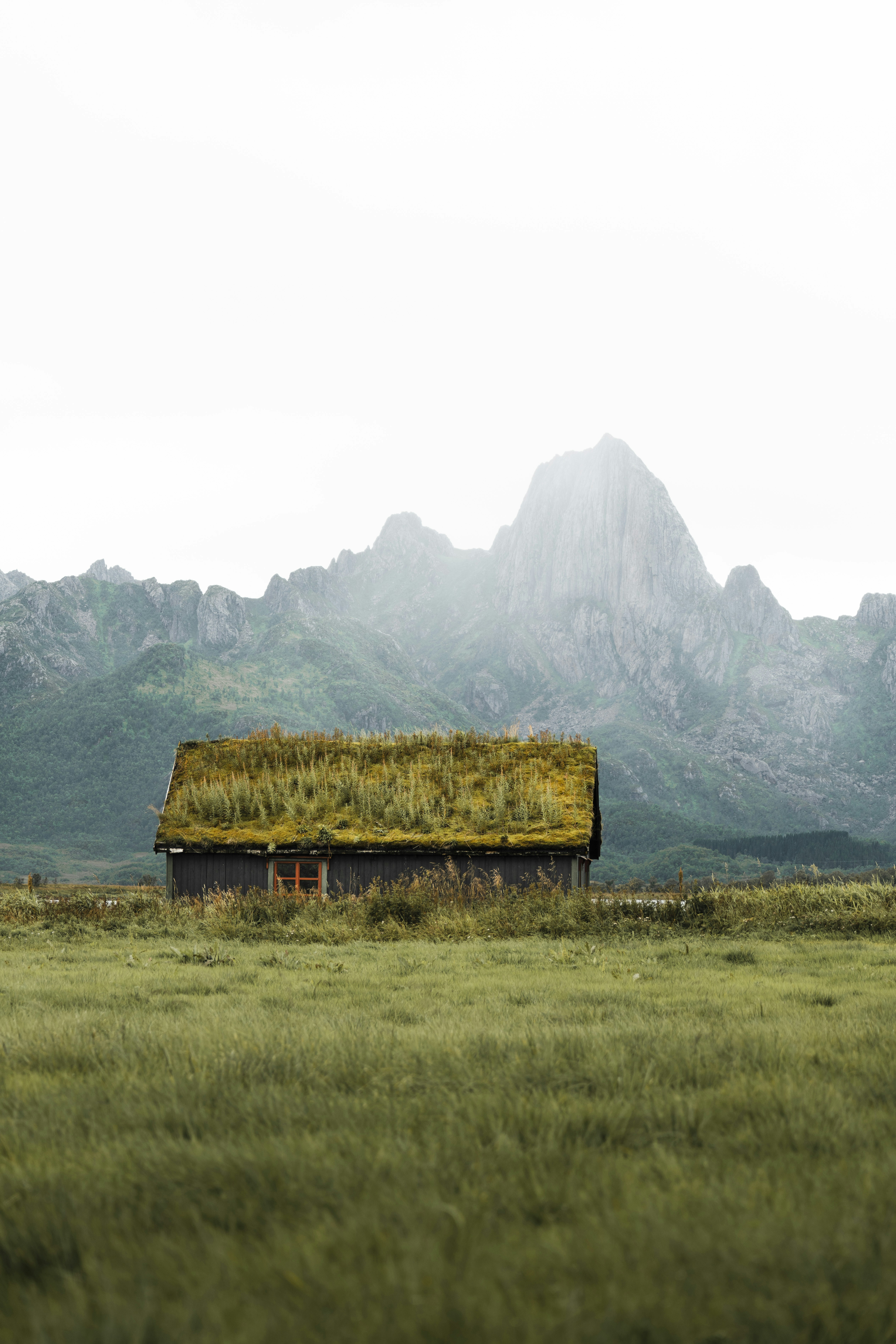 a barn in a field with mountains in the background