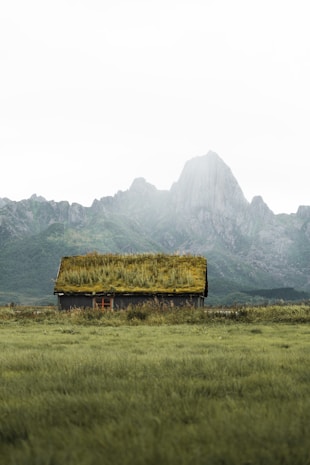 A small rustic cabin with a grass-covered roof is situated in a lush green field. In the background, jagged mountain peaks rise into a cloudy sky, creating a serene and isolated landscape.