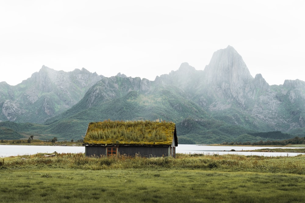 a house with a grass roof in front of a mountain range