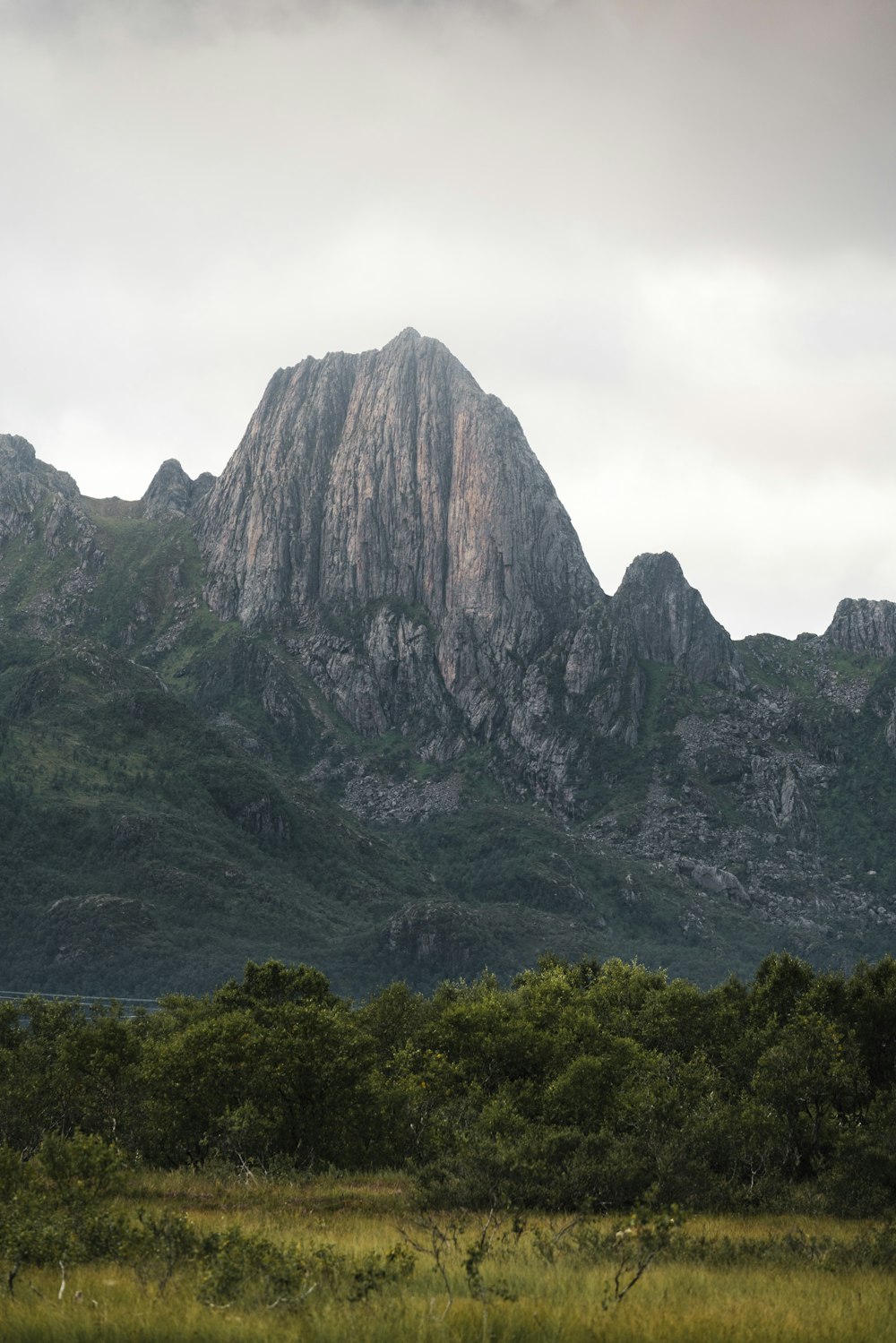 una gran montaña con árboles frente a ella