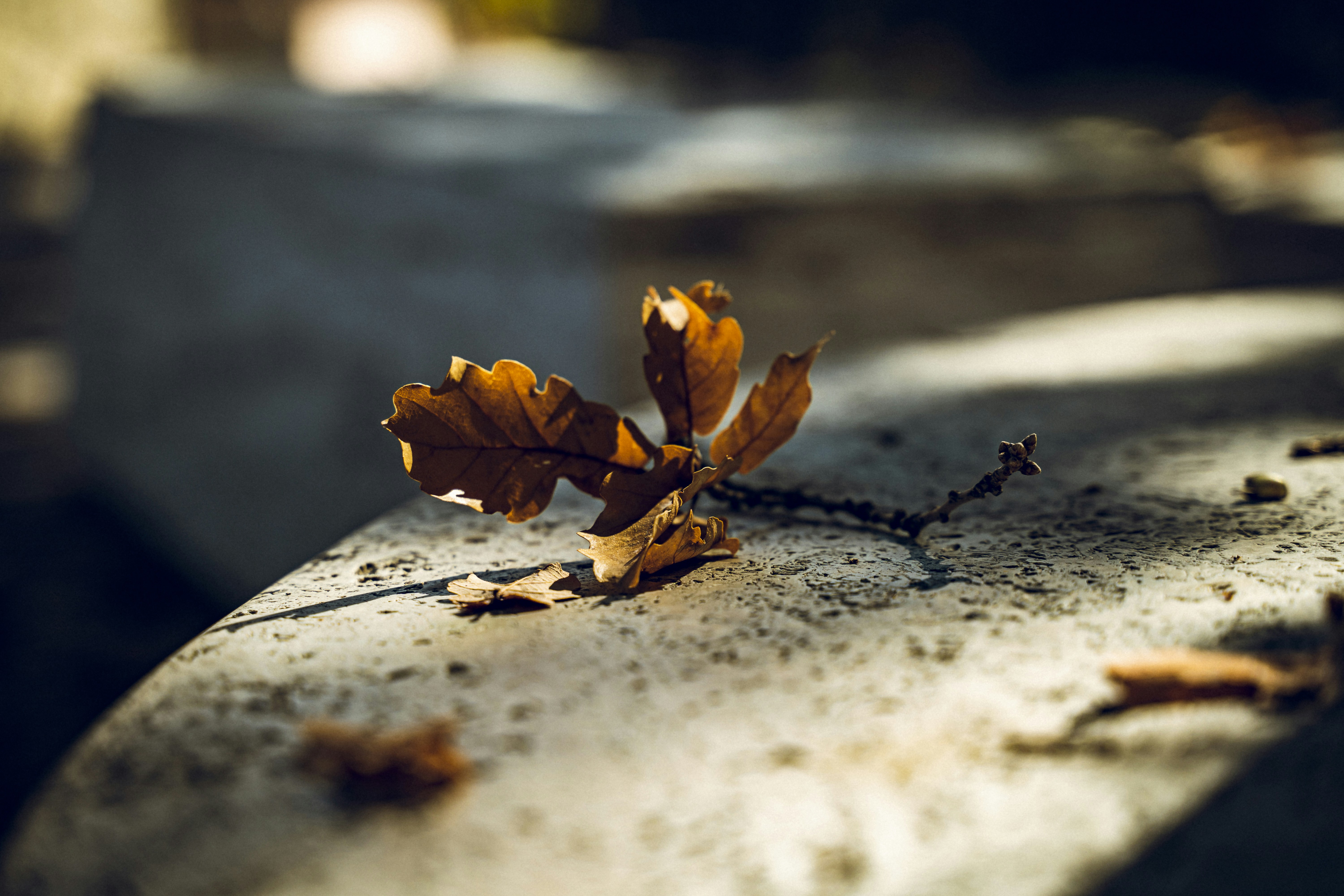 Photo by pf91_photography