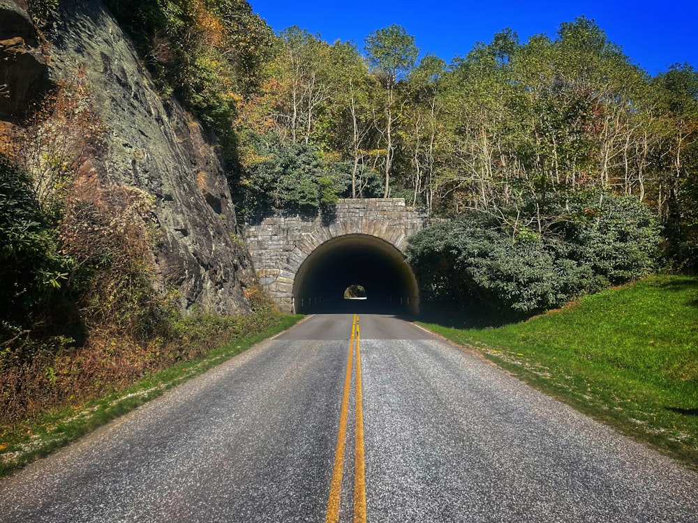 a road going into a tunnel in the middle of a forest