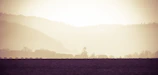 The serene countryside that often inspires Meena’s verses, with morning mist and soft light.