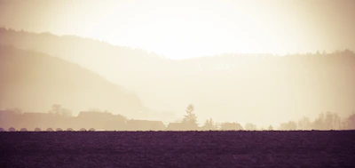 The serene countryside that often inspires Meena’s verses, with morning mist and soft light.
