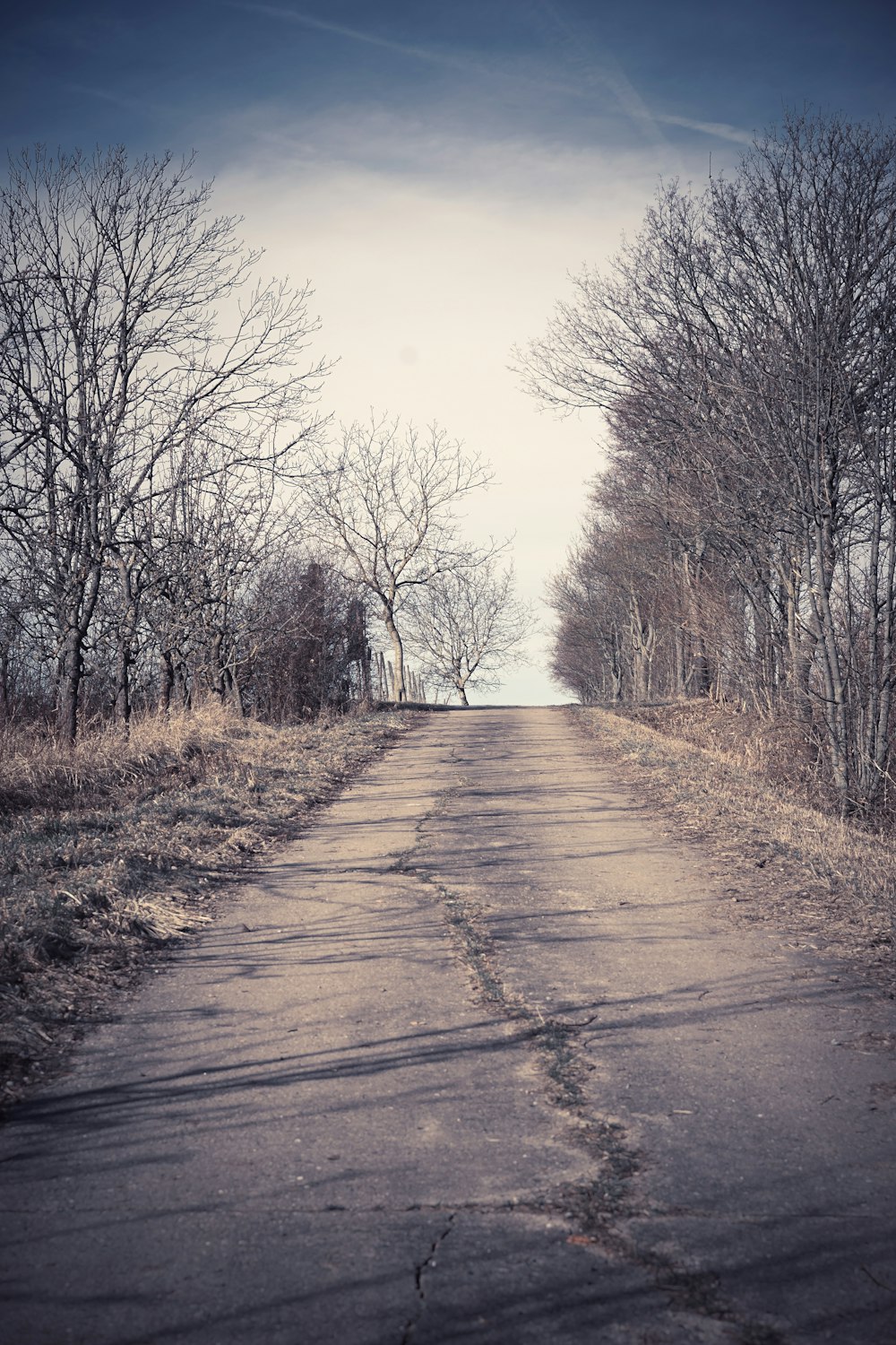 a dirt road surrounded by trees and grass