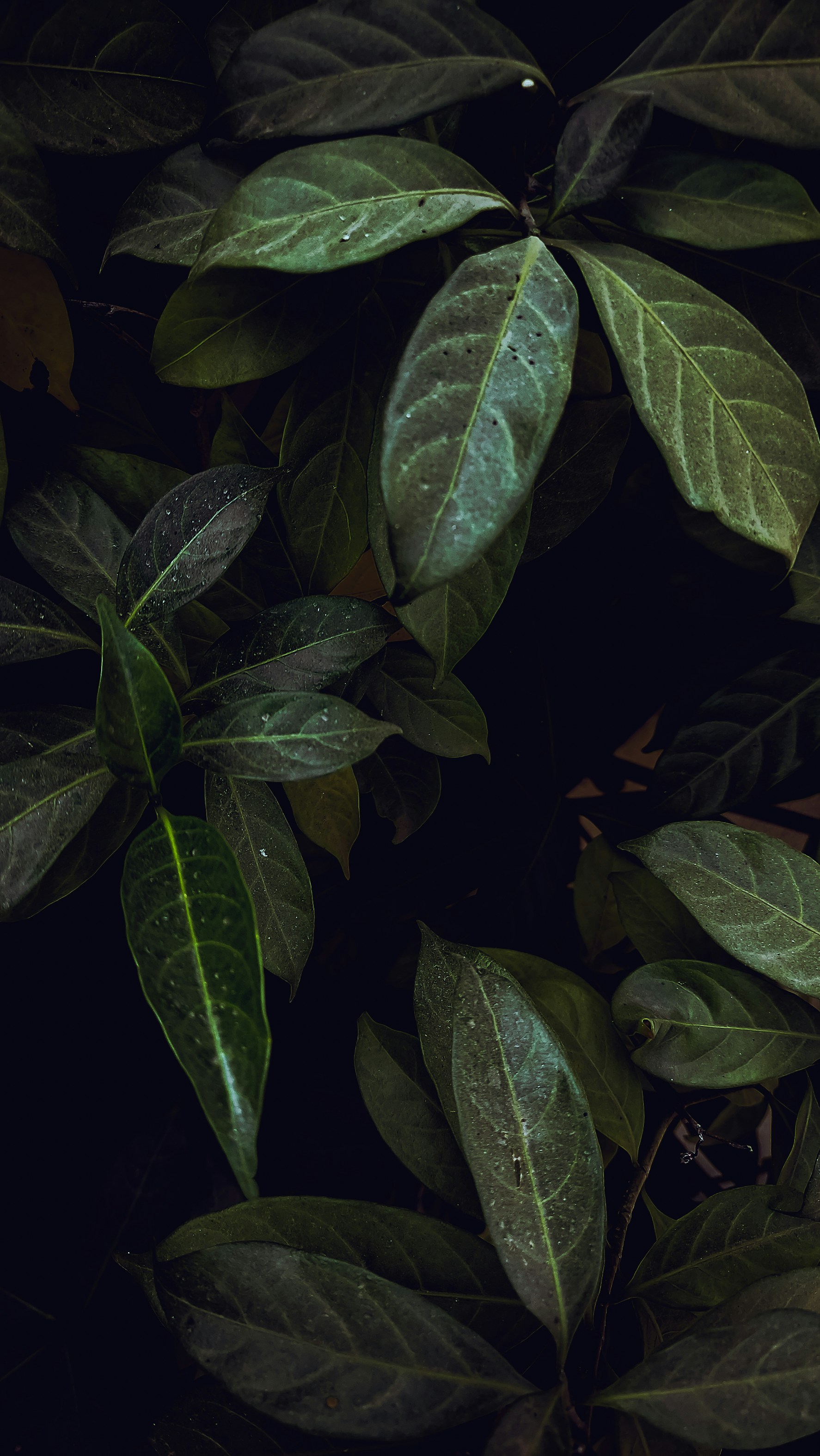 Photo by vaibhav_pixels