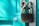 A close-up of a sturdy silver padlock securing a bright turquoise-painted door with a thick, rusted chain. The metal lock has a reflective surface, and the bolt is fastened tightly to ensure security.