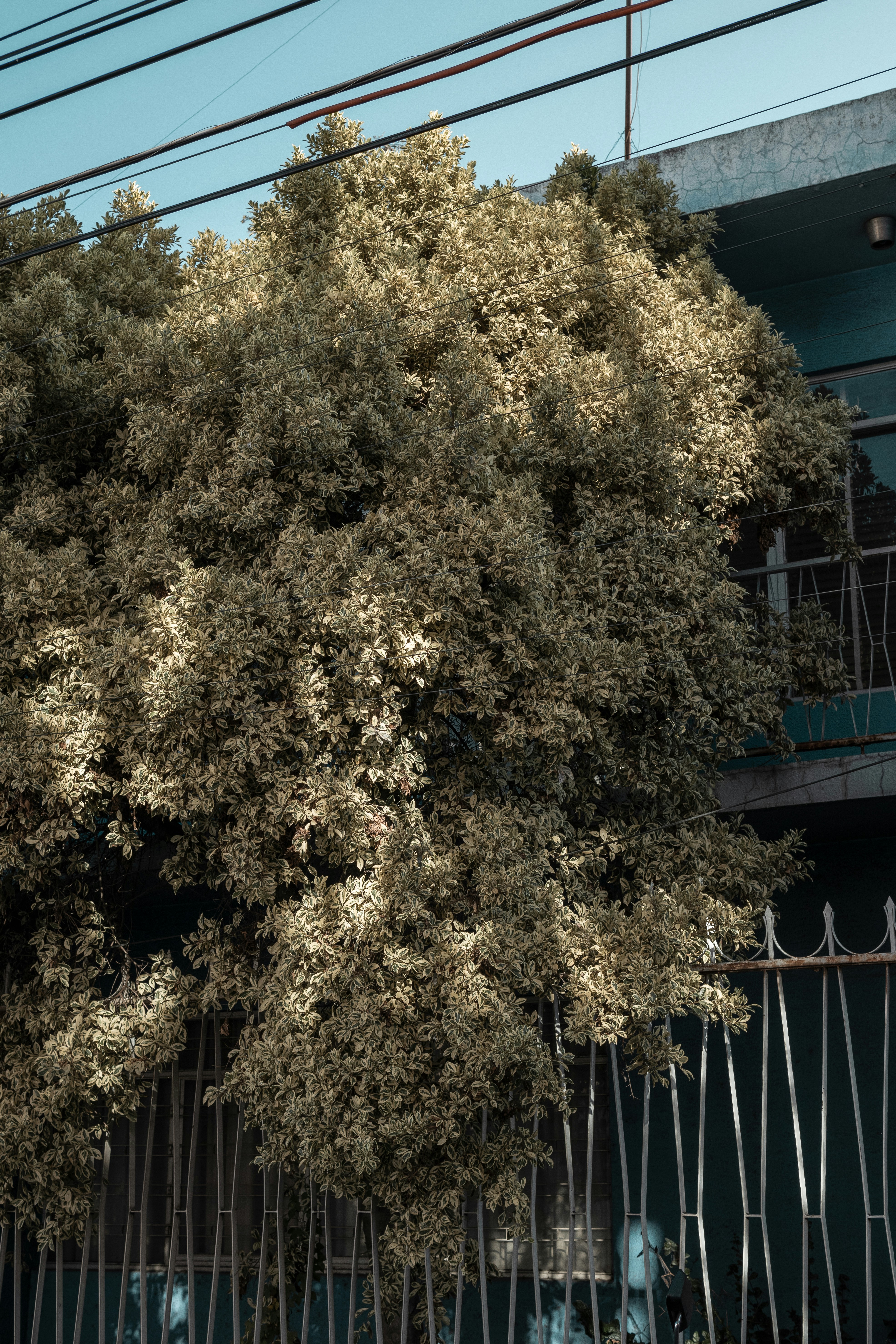 Photo by alex_quezada