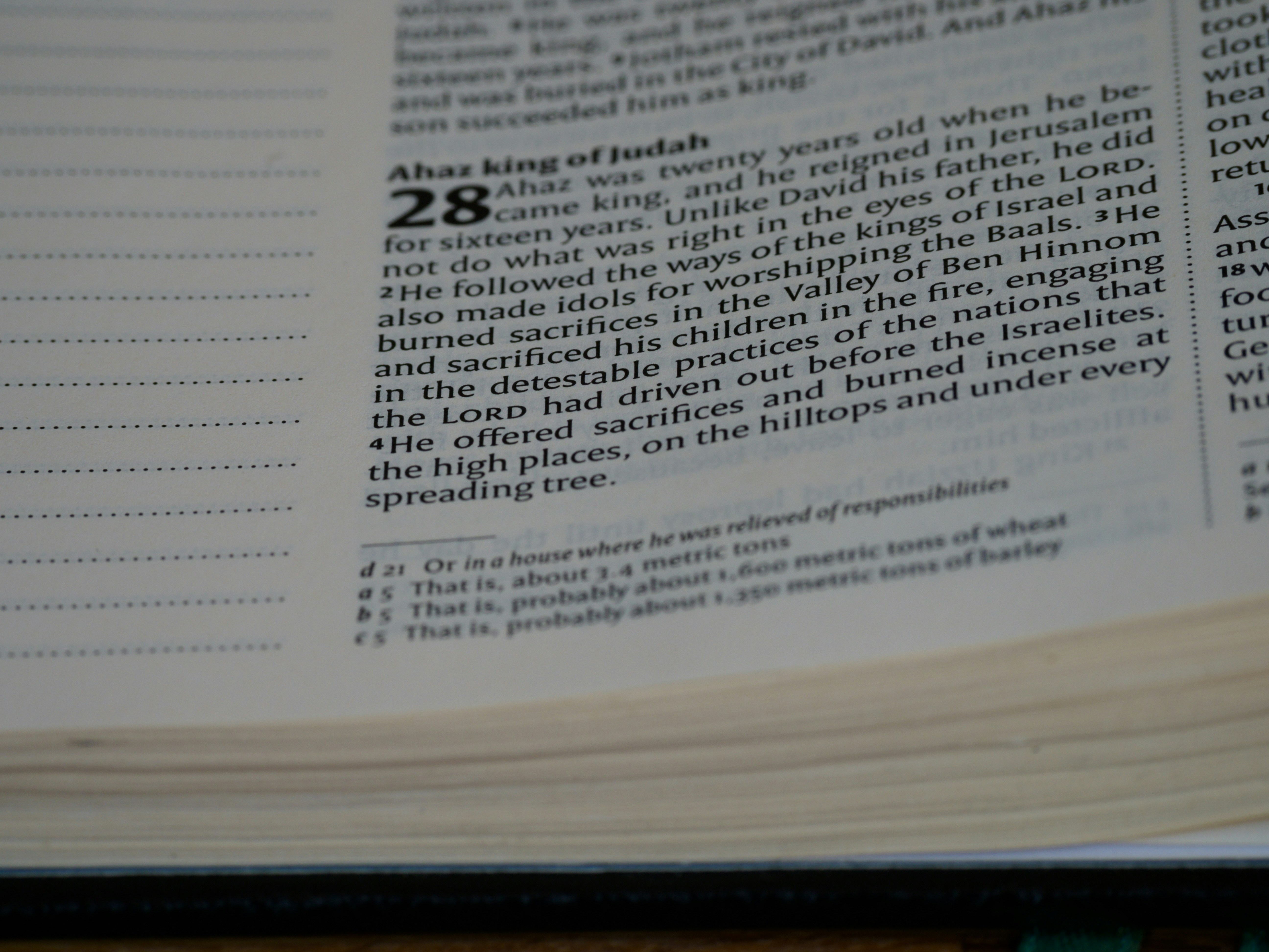 Photo by brett_jordan