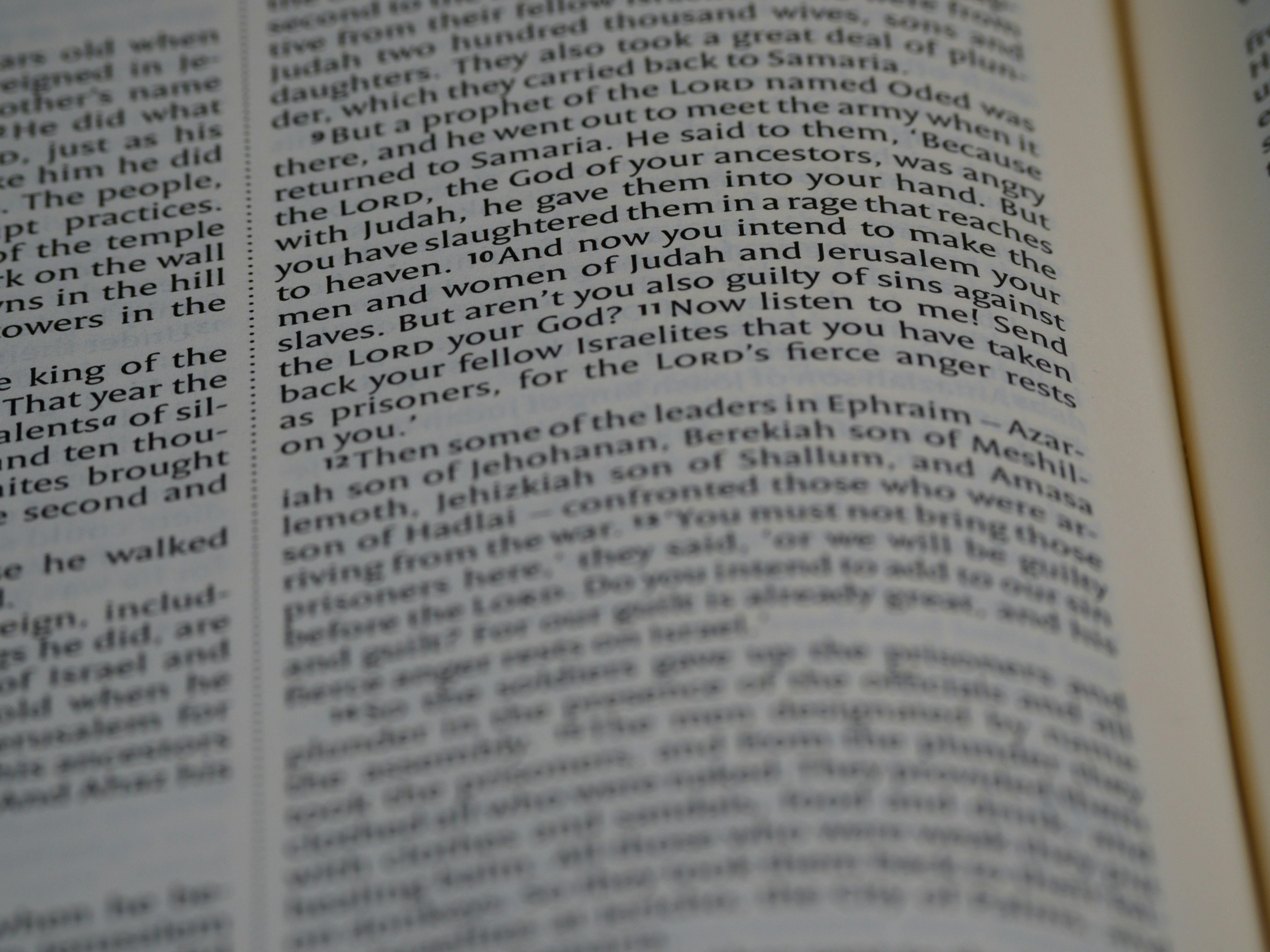 Photo by brett_jordan