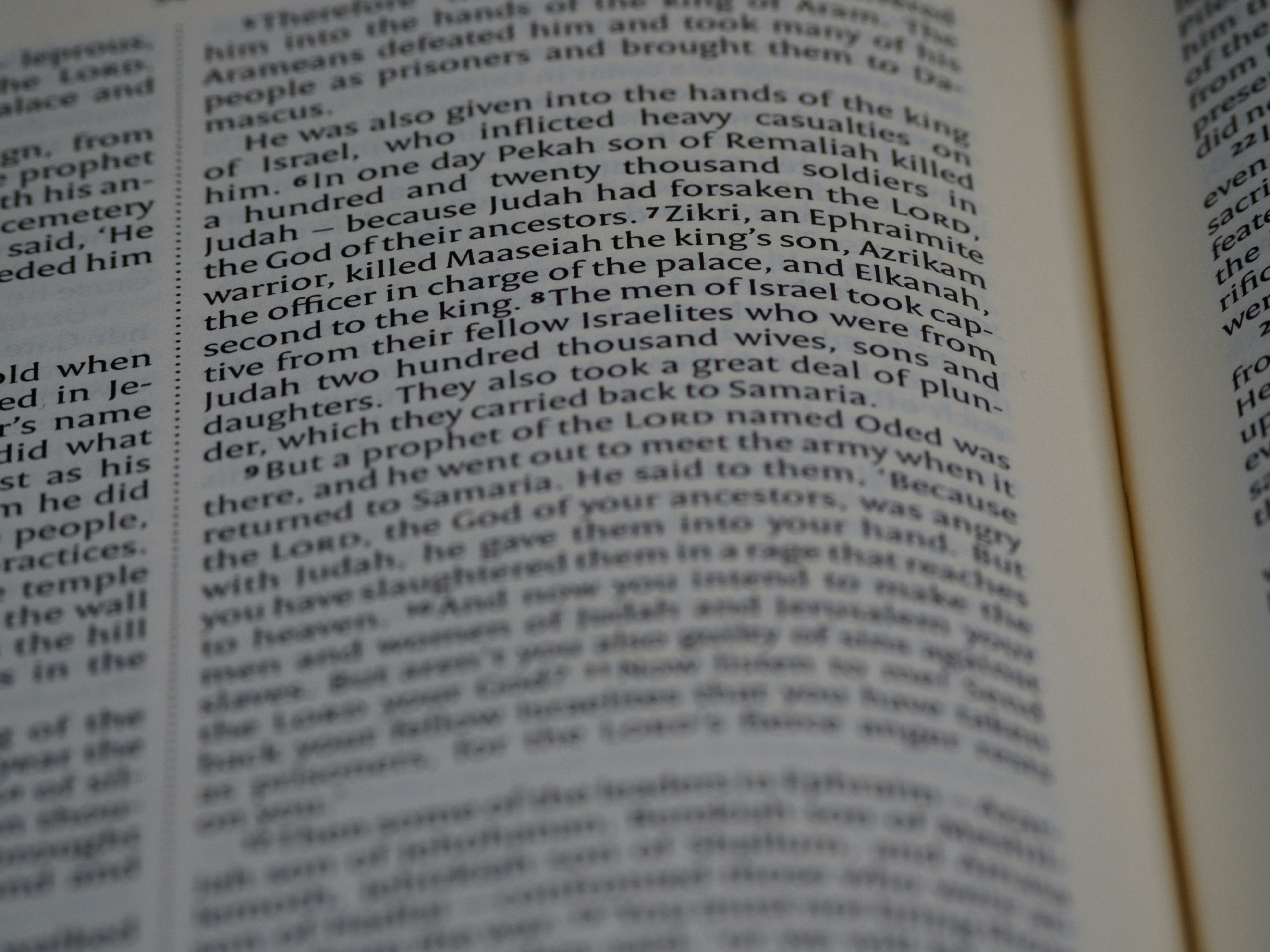 Photo by brett_jordan