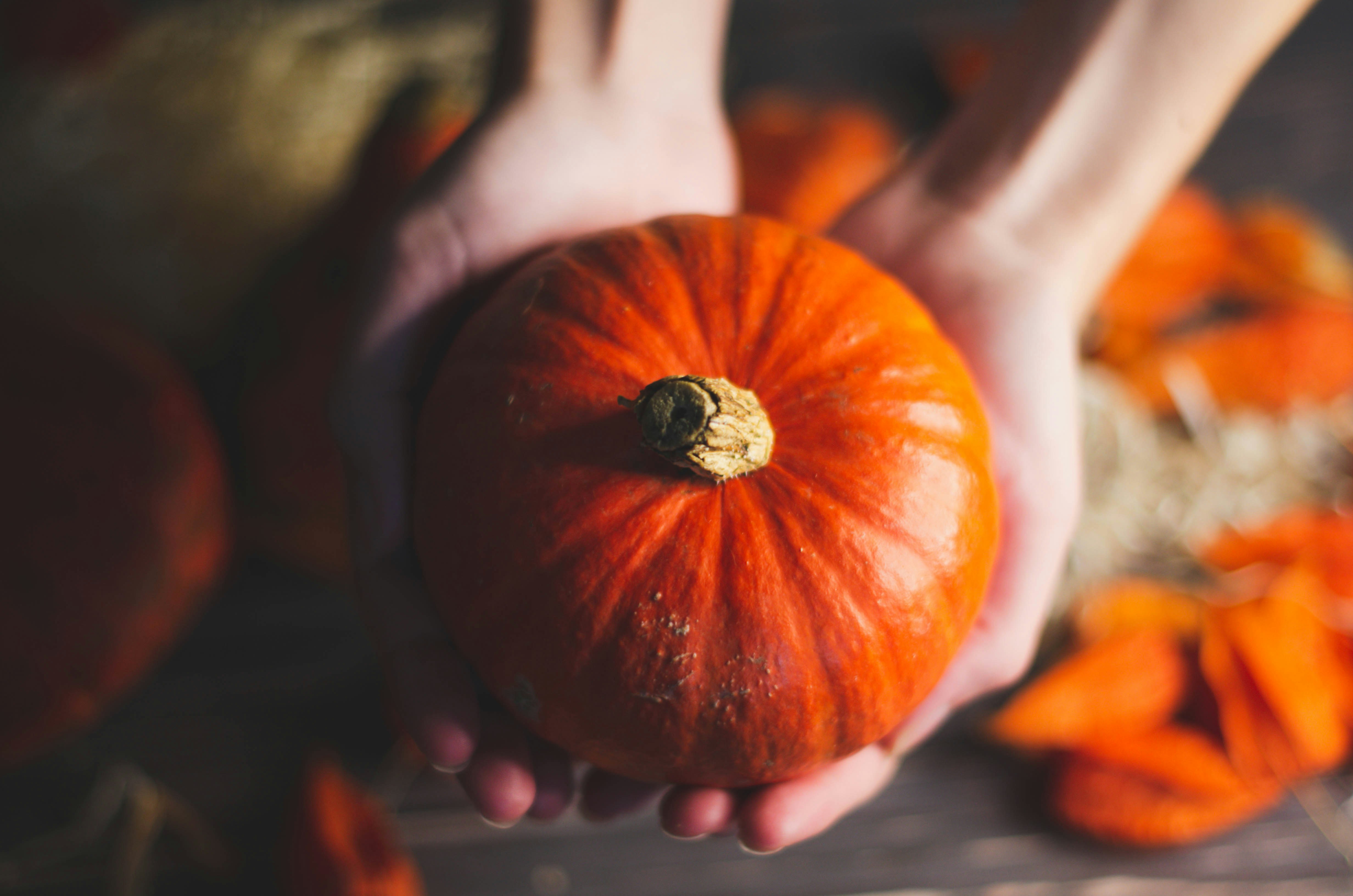 Photo by nika_benedictova