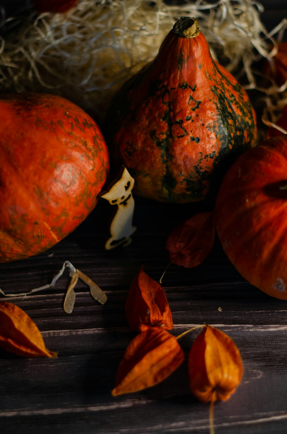 pumpkins and gourds on a wooden table