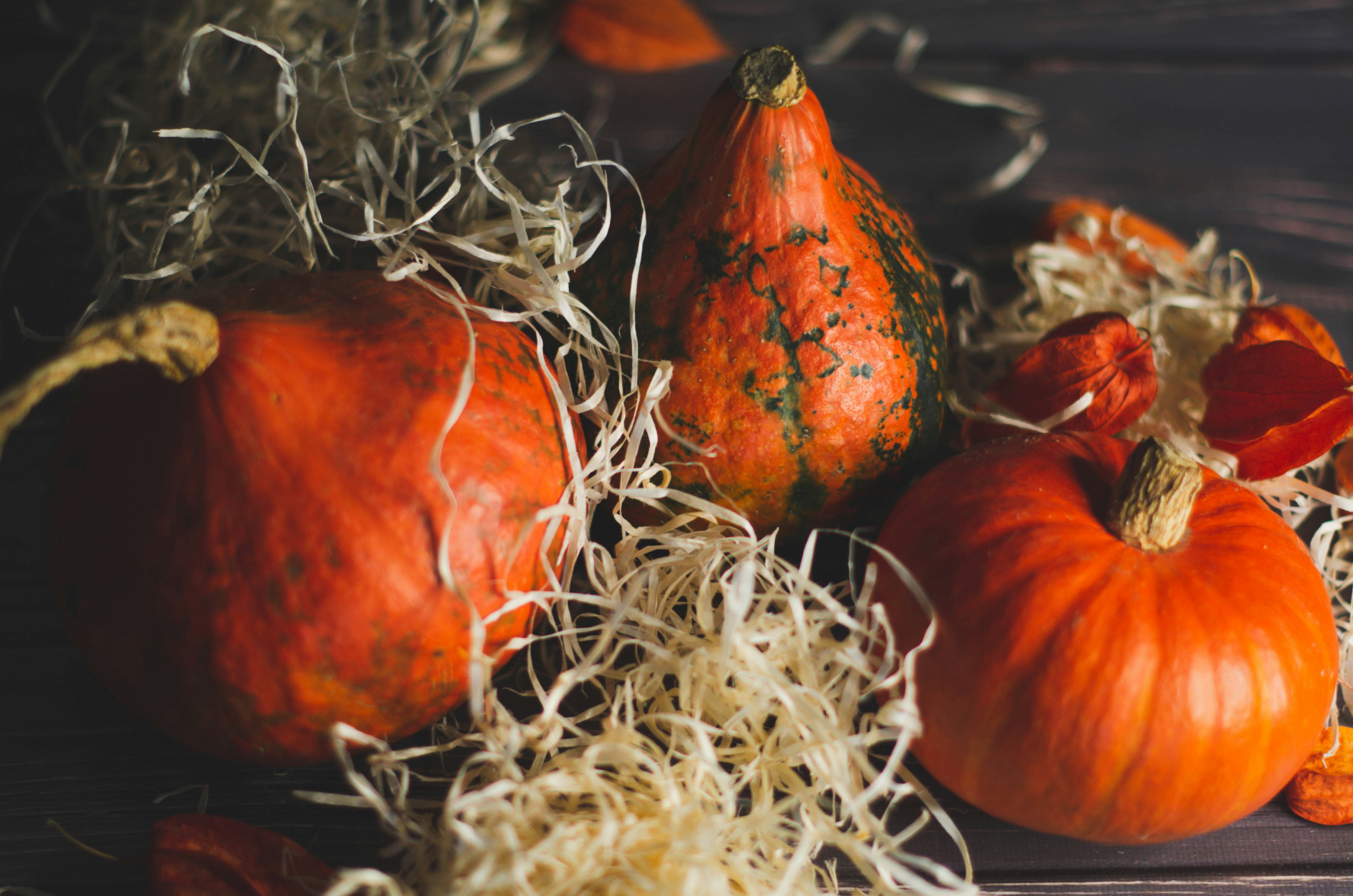 Photo by nika_benedictova