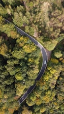 an aerial view of a winding road surrounded by trees
