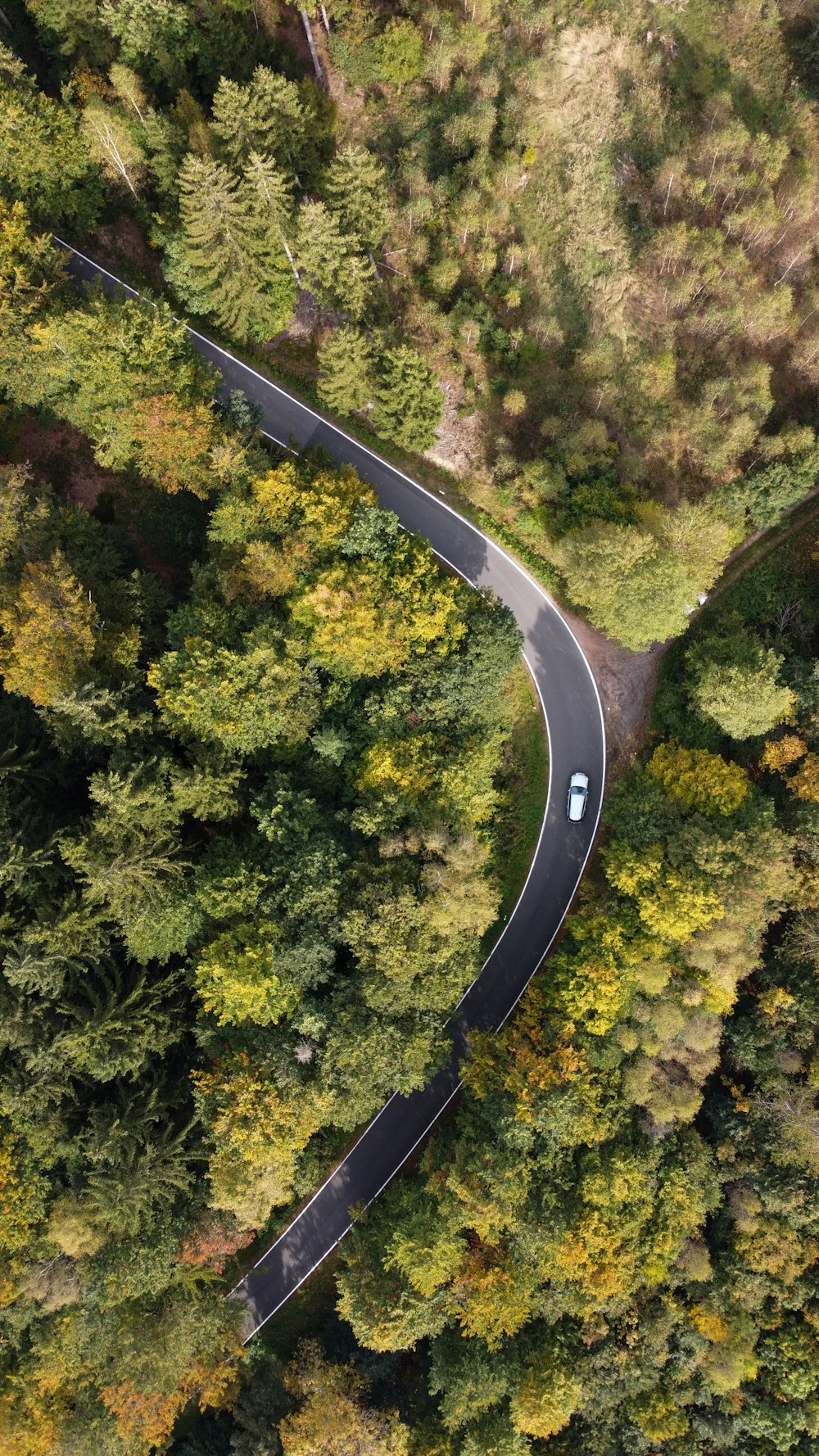 an aerial view of a winding road surrounded by trees