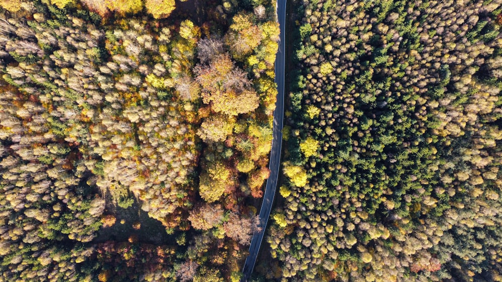 an aerial view of a road surrounded by trees