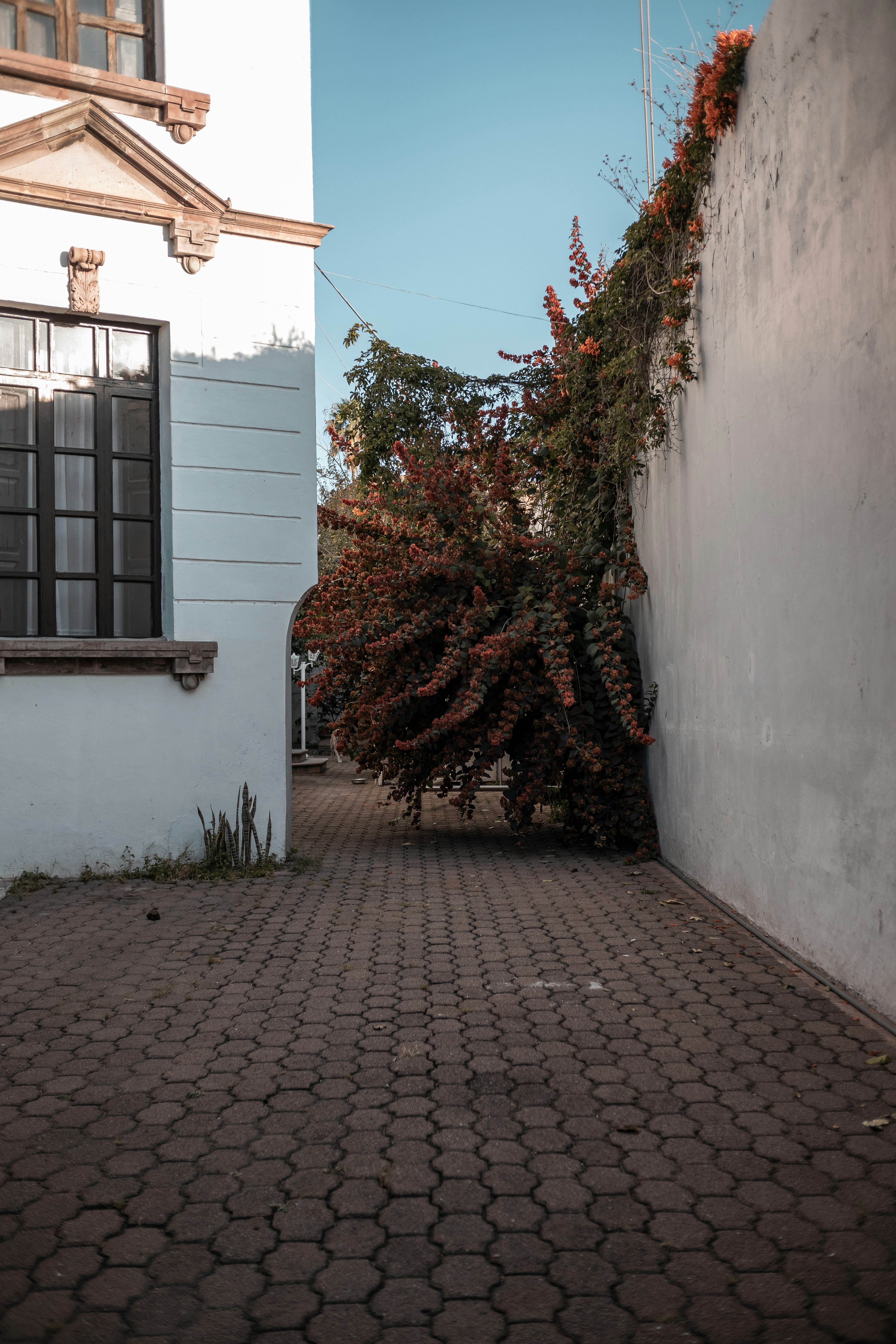 Photo by alex_quezada