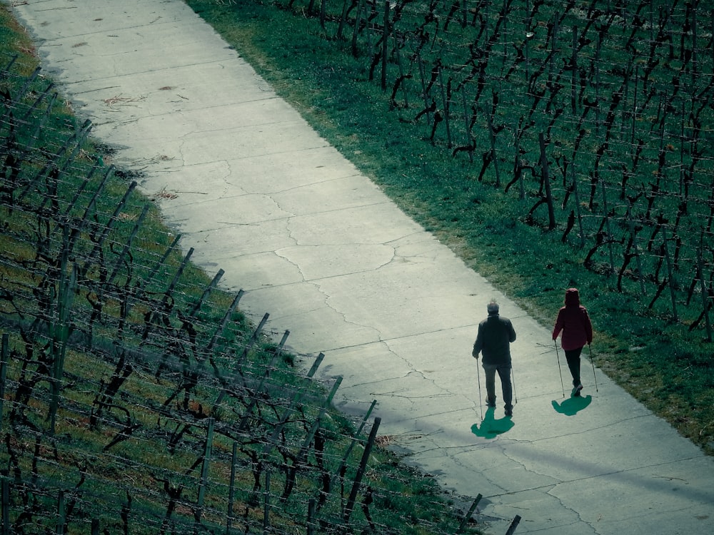 a couple of people walking down a sidewalk