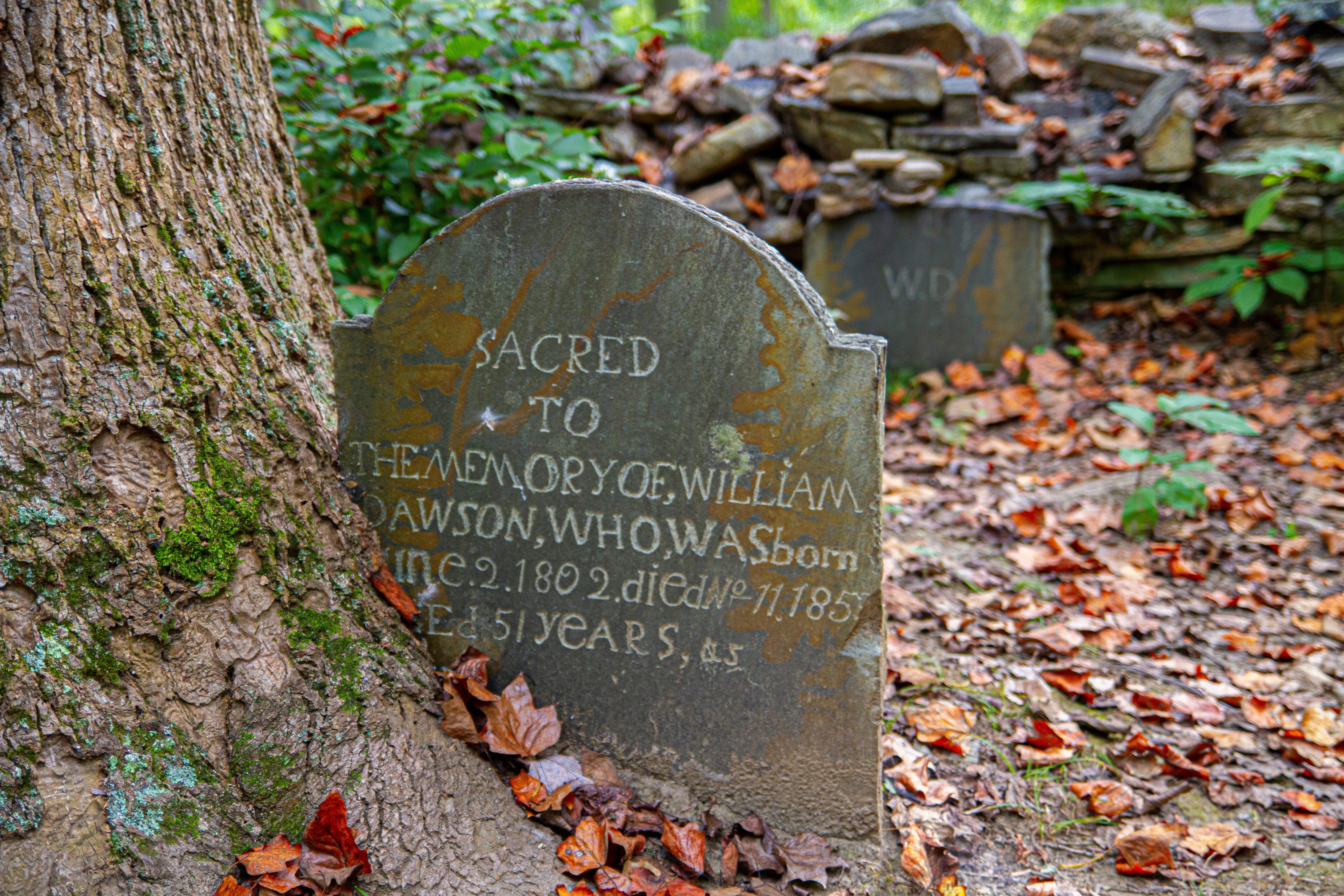 a couple of headstones sitting next to a tree