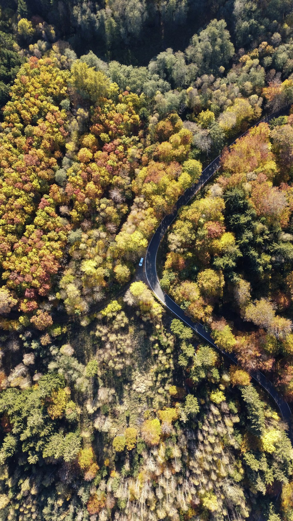 an aerial view of a winding road surrounded by trees