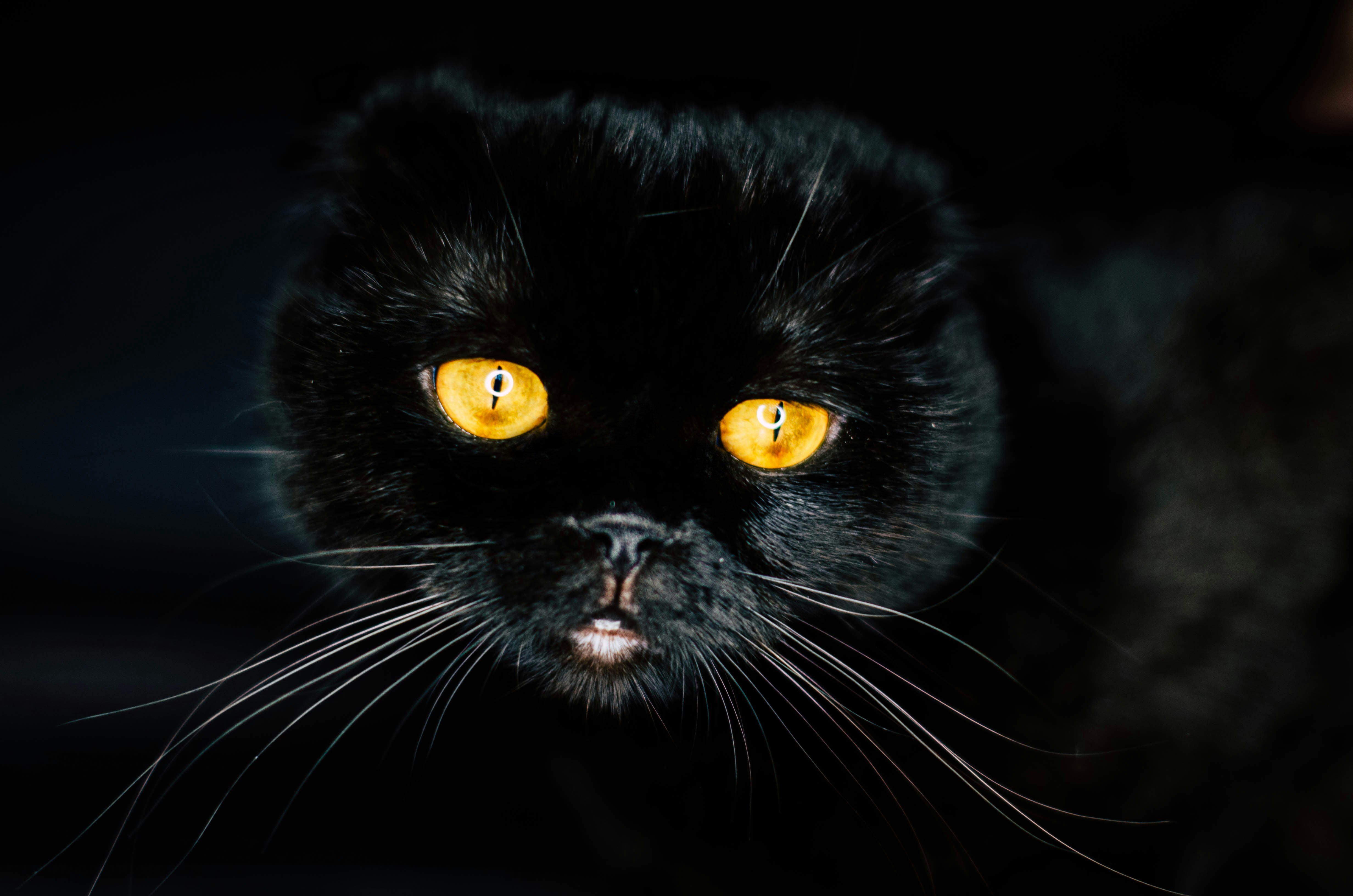 Photo by nika_benedictova