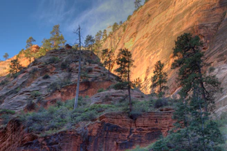 Sunset casting golden light over a rugged national park landscape with towering cliffs and pine trees.