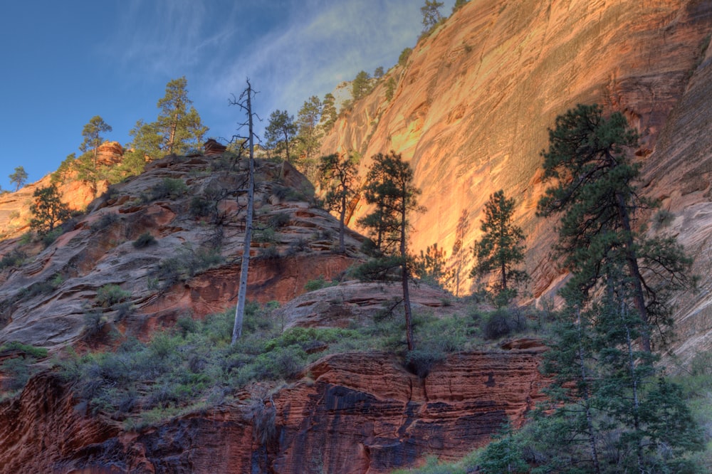 a mountain with trees on the side of it