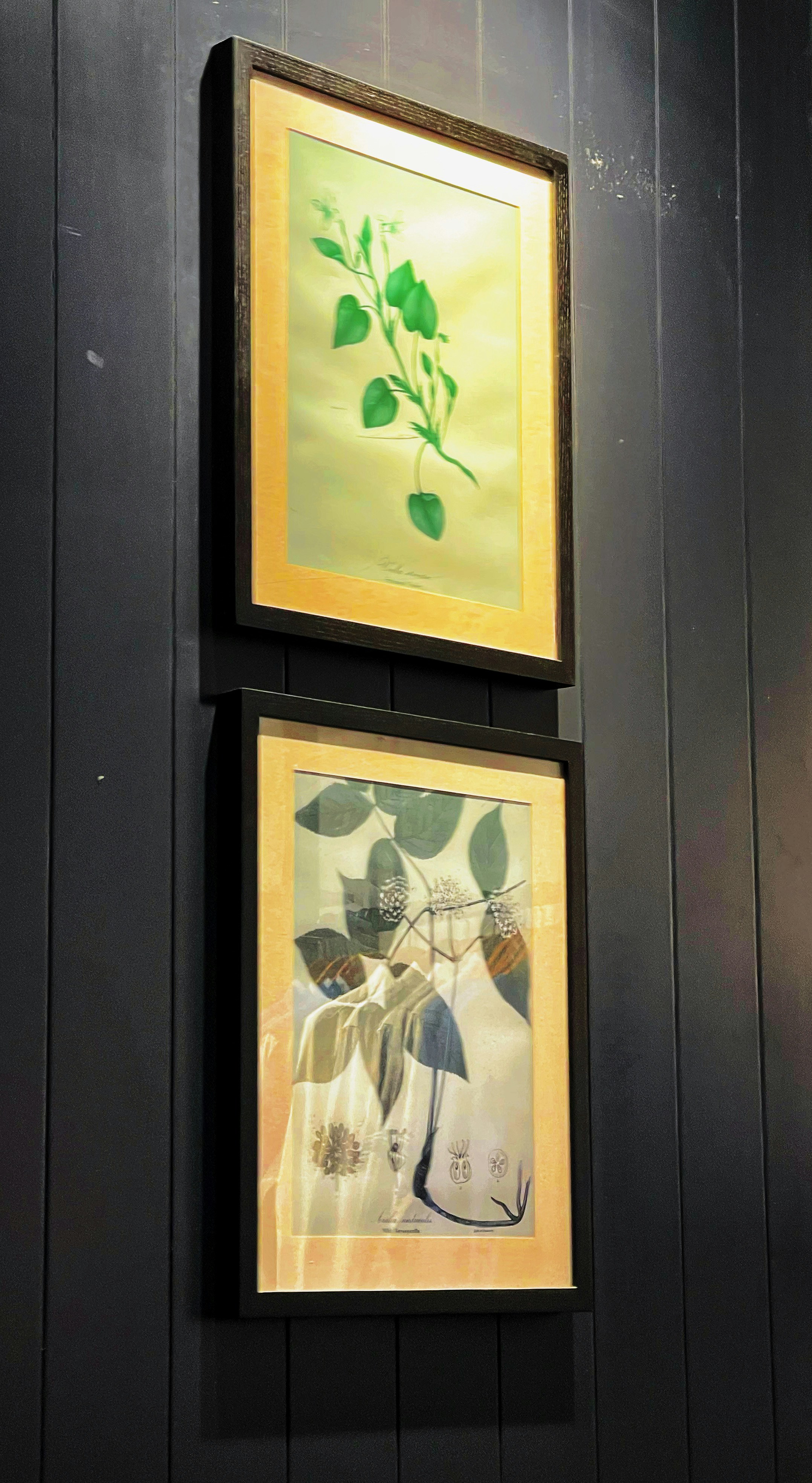 Gold leaf botanical print framed art on light grey wall