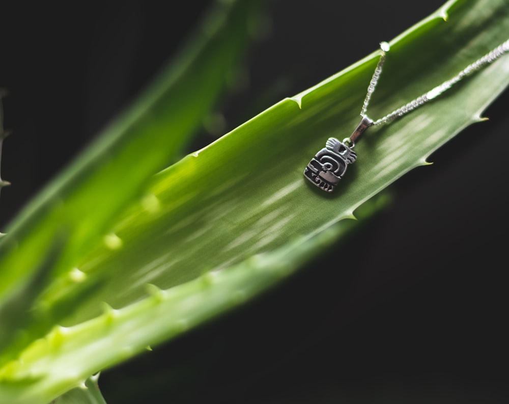 a small camera necklace on a green leaf