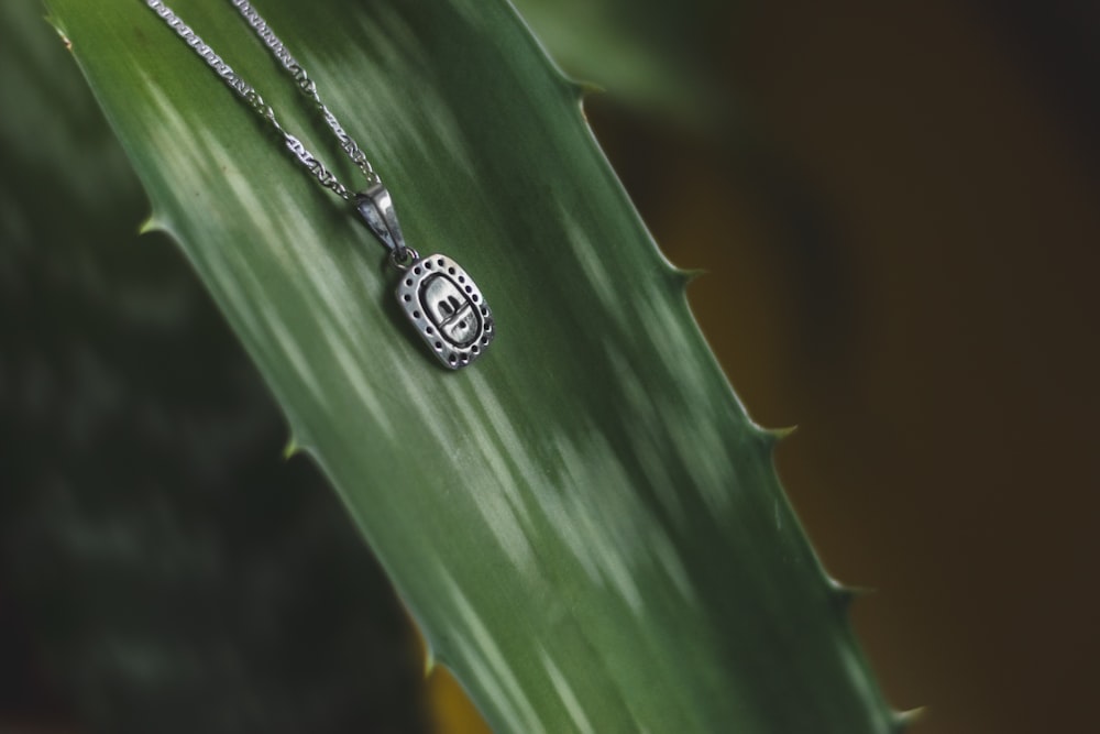 a close up of a leaf with a necklace on it