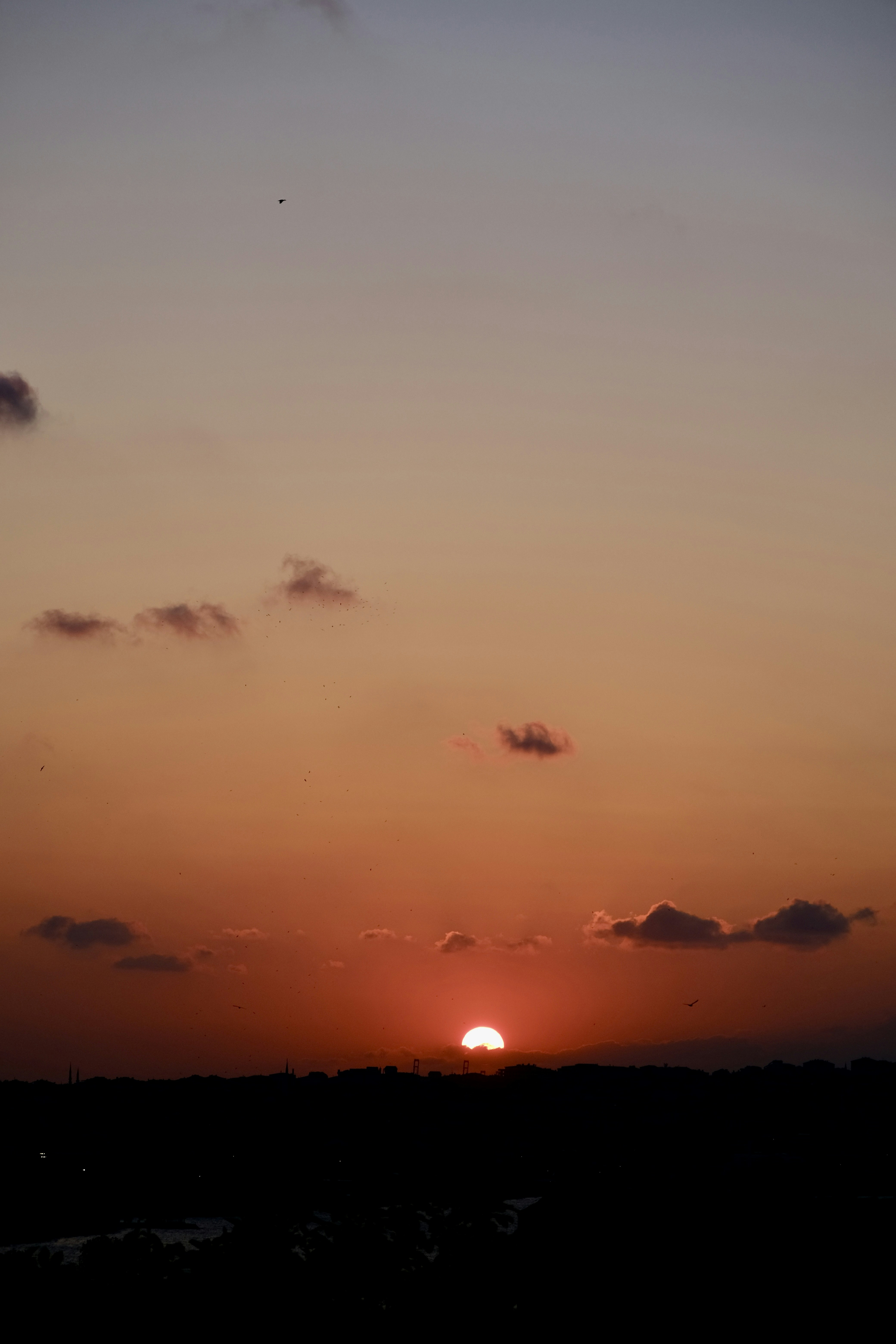 Photo by irfansimsar