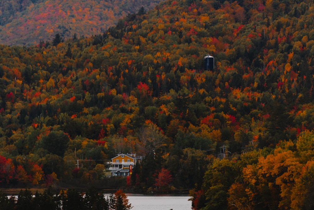 a scenic view of a forest with a lake in the foreground