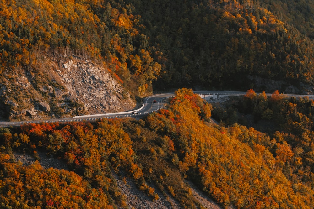 an aerial view of a winding road surrounded by trees