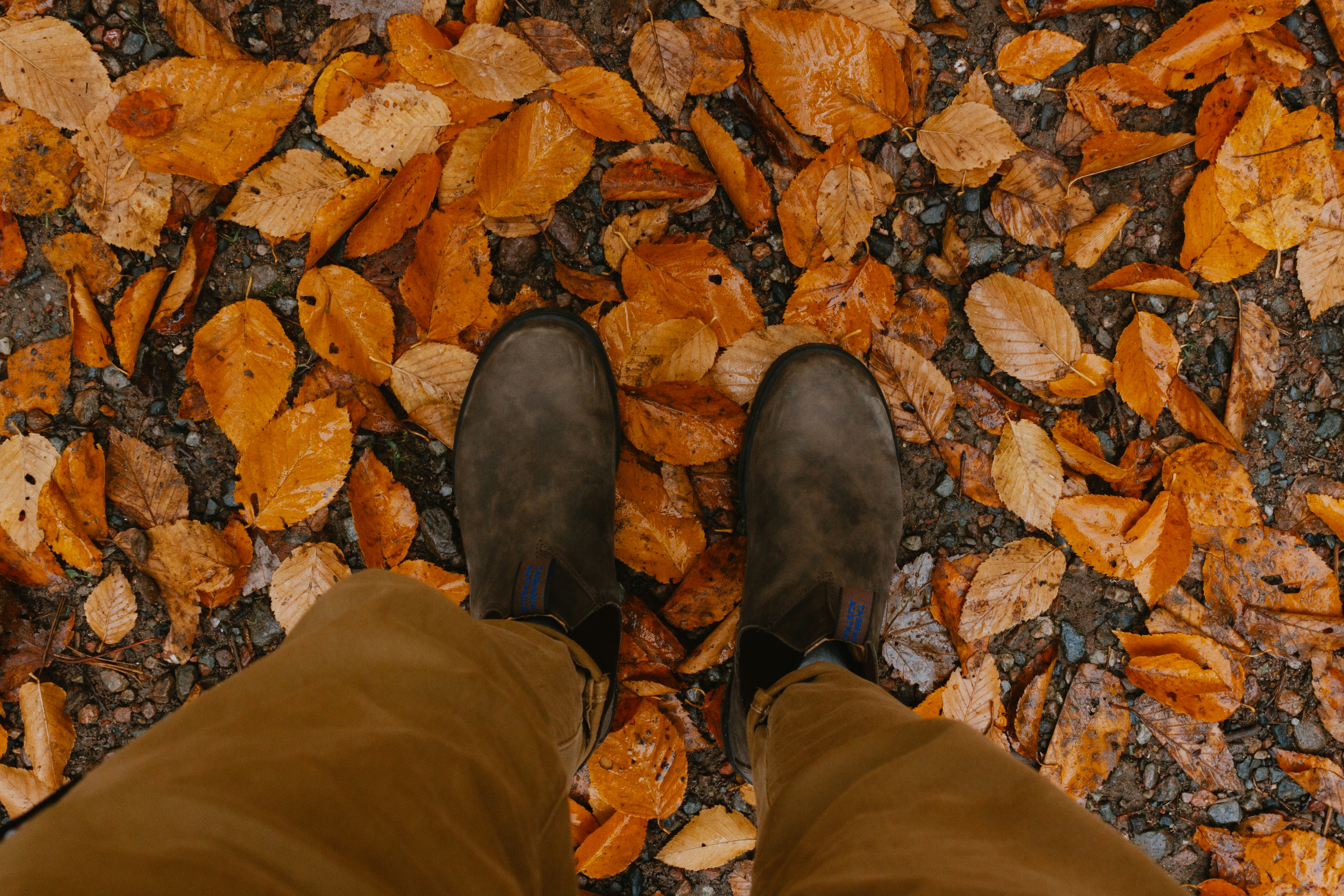 Photo by janwalterluigi