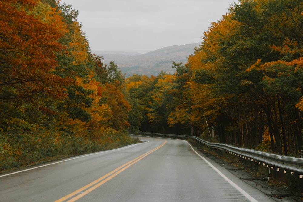 an empty road surrounded by trees in the fall