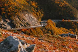 Winding mountain road disappearing into a sea of vibrant fall colors