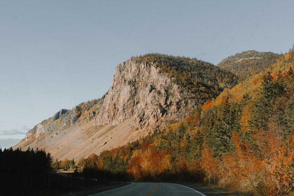 a road with a mountain in the background