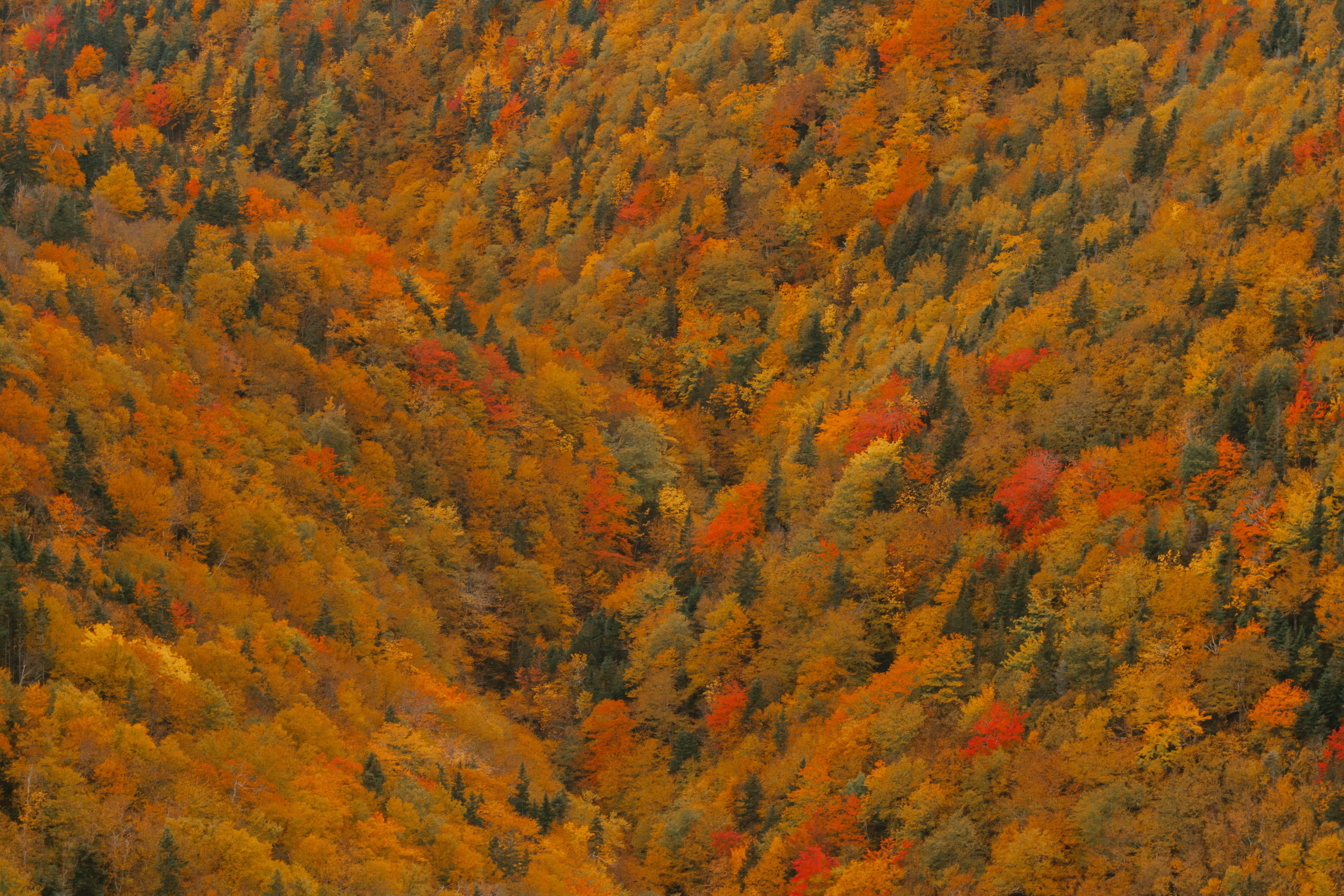 Photo by janwalterluigi