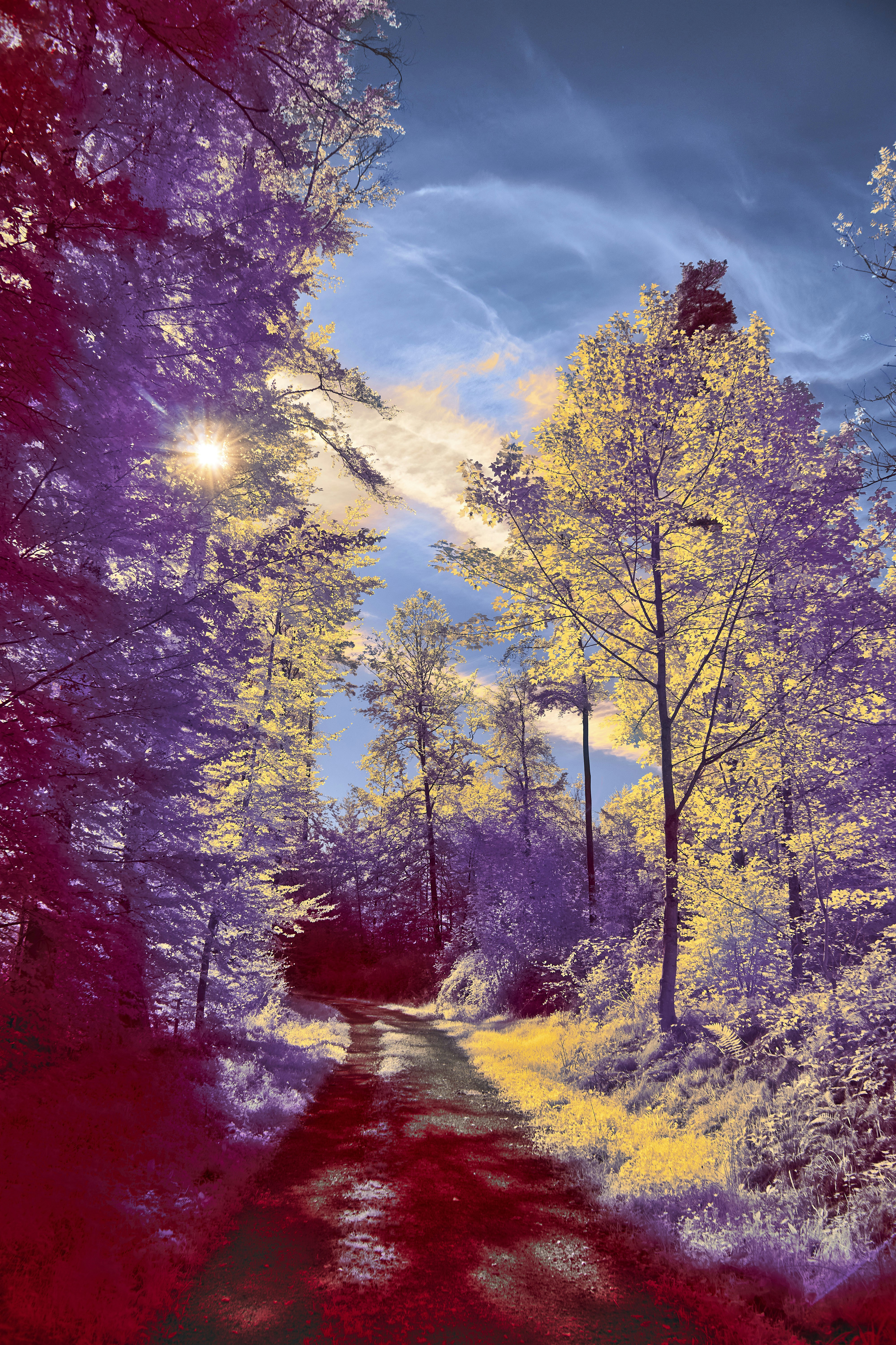 Photo by wolfgang_hasselmann